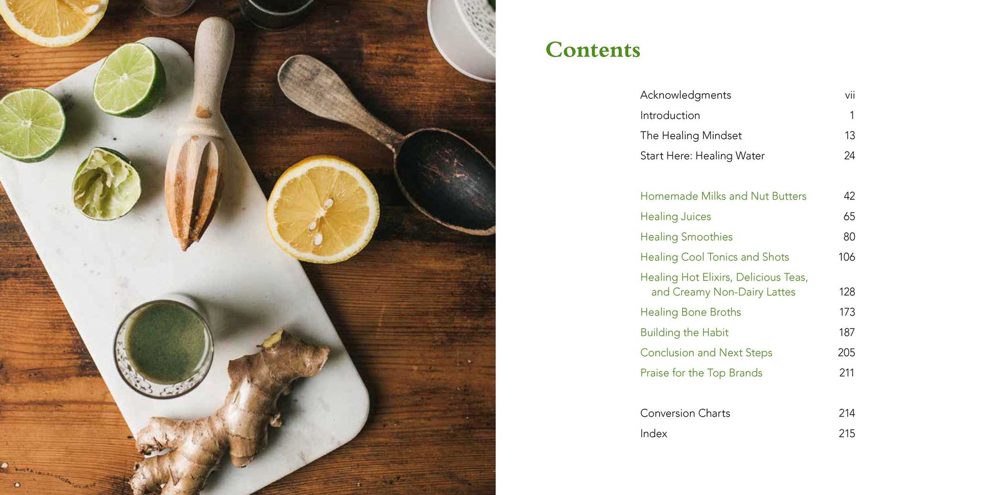 The Big Book of Healing Drinks: Juices, Smoothies, Teas, Tonics, and Elixirs to Cleanse and Detoxify