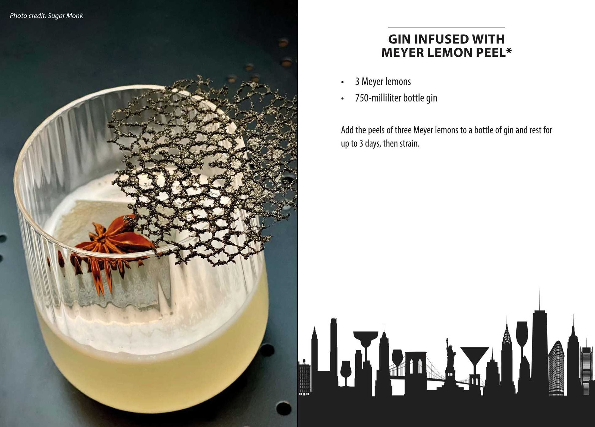 Not For Tourists Guide to New York City: The Cocktail Companion