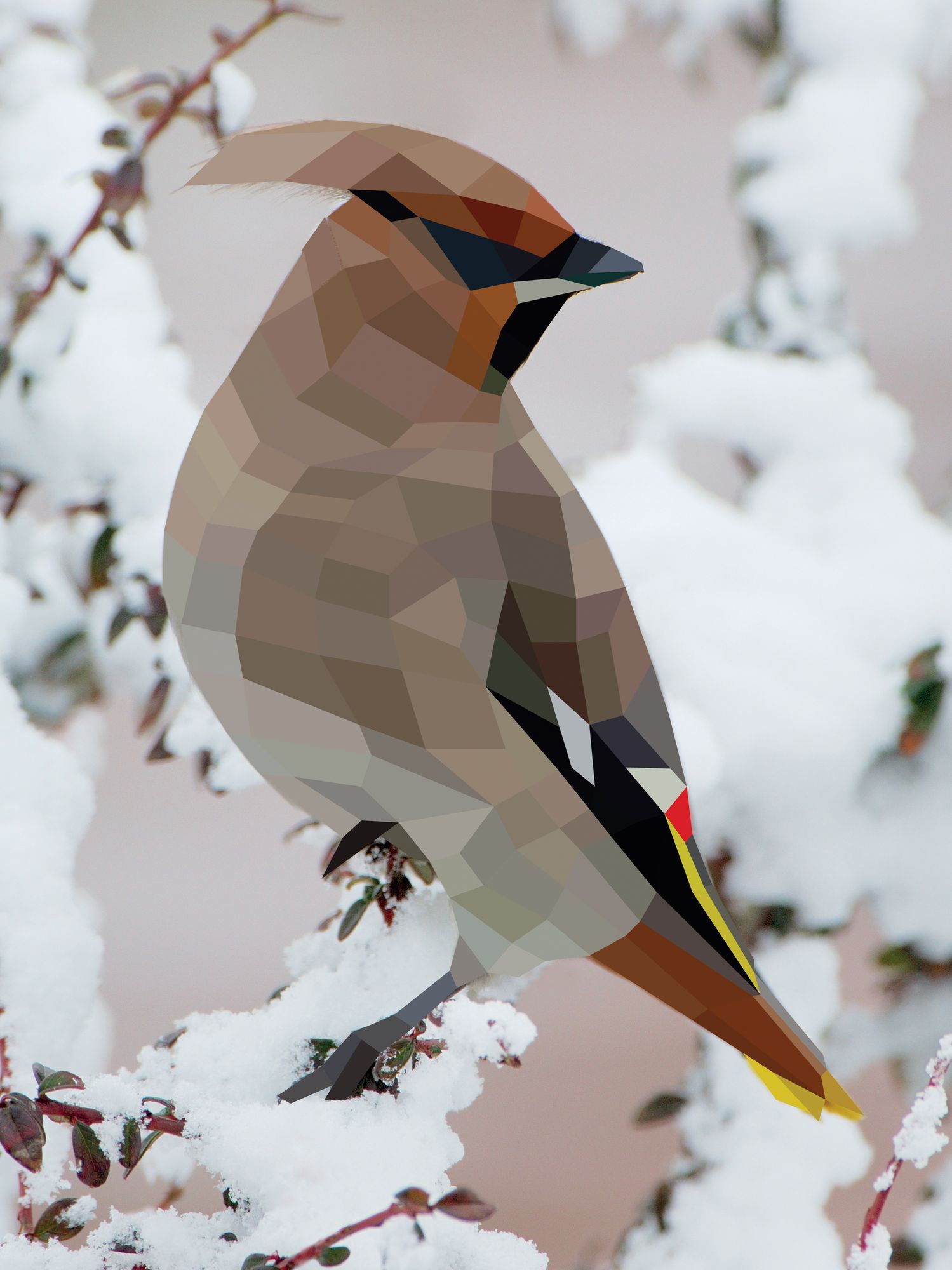 Paint by Sticker (Official): Birds: Create 12 Stunning Images One Sticker at a Time!