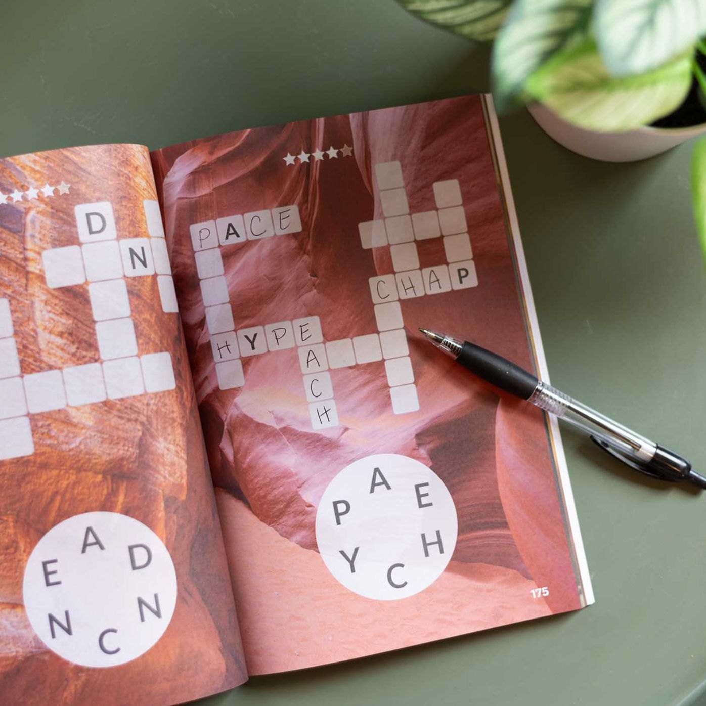 The Official Wordscapes Puzzle Book Volume 2