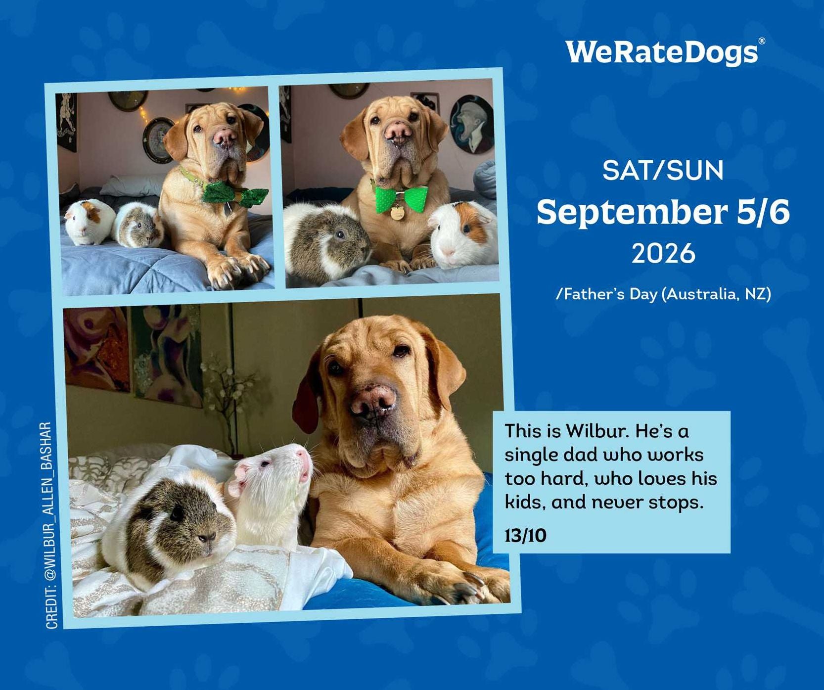 2026 WeRateDogs Day-to-Day Calendar
