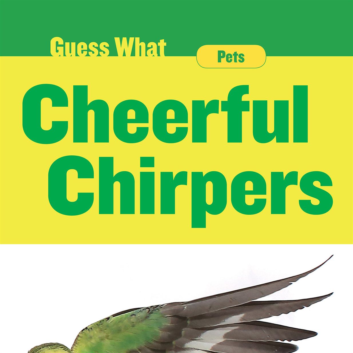 Cheerful Chirpers: Parakeet