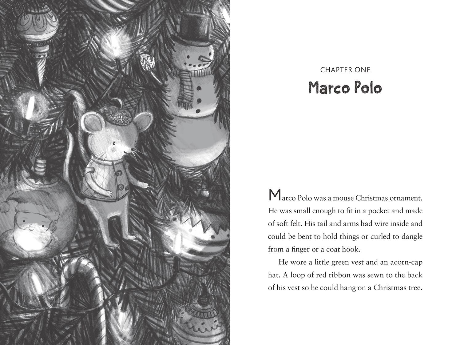 Marco Polo Brave Explorer (Book Buddies #2)