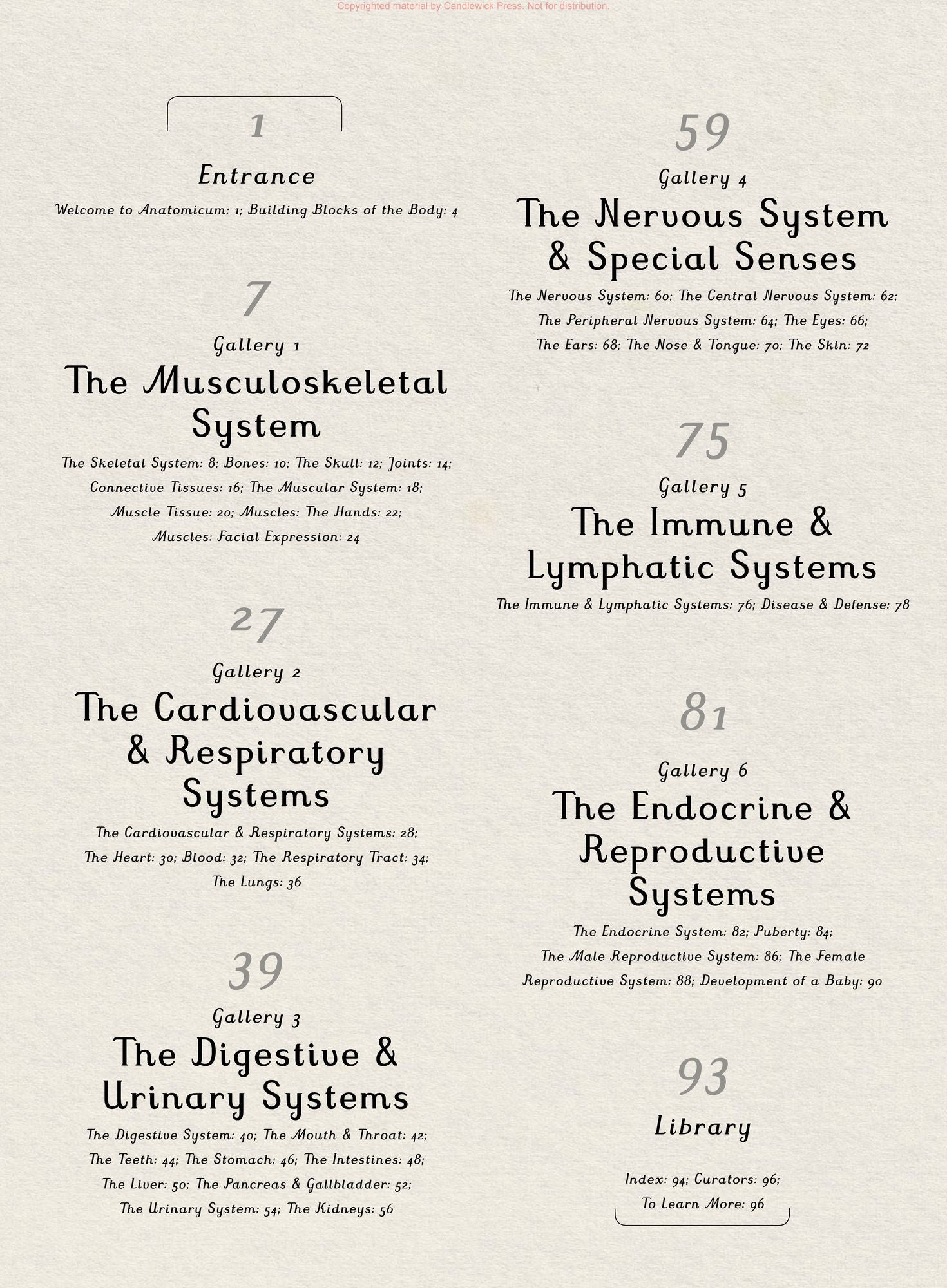 Anatomicum: Welcome to the Museum