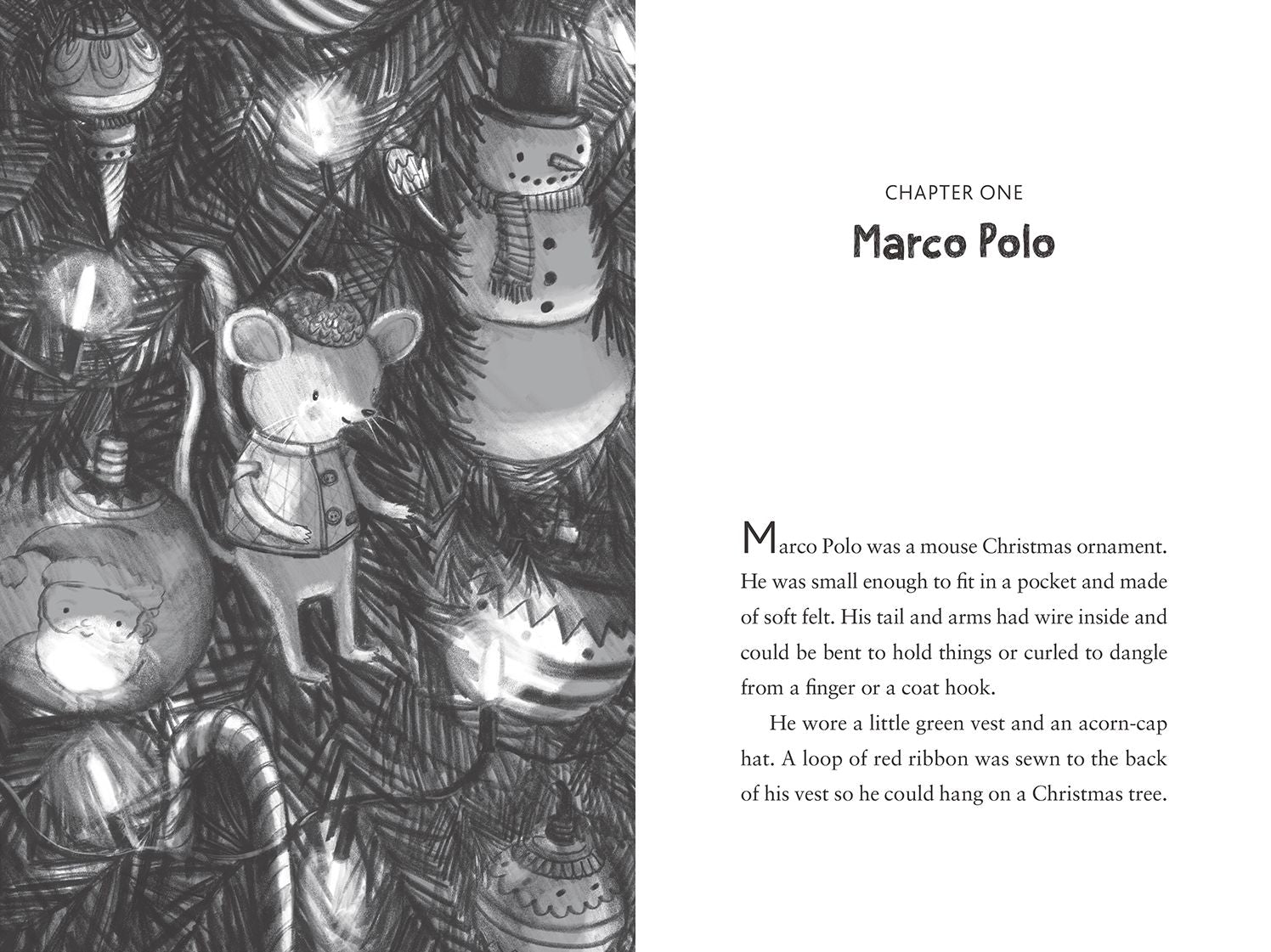 Marco Polo Brave Explorer (Book Buddies #2)