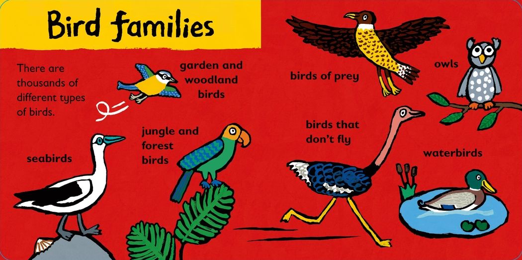 Maisy Loves Birds: A Maisy's Planet Book: A Maisy's Planet Book (Educational Board Book About Birds in Springtime - For Toddlers and Kids Ages 1-3)