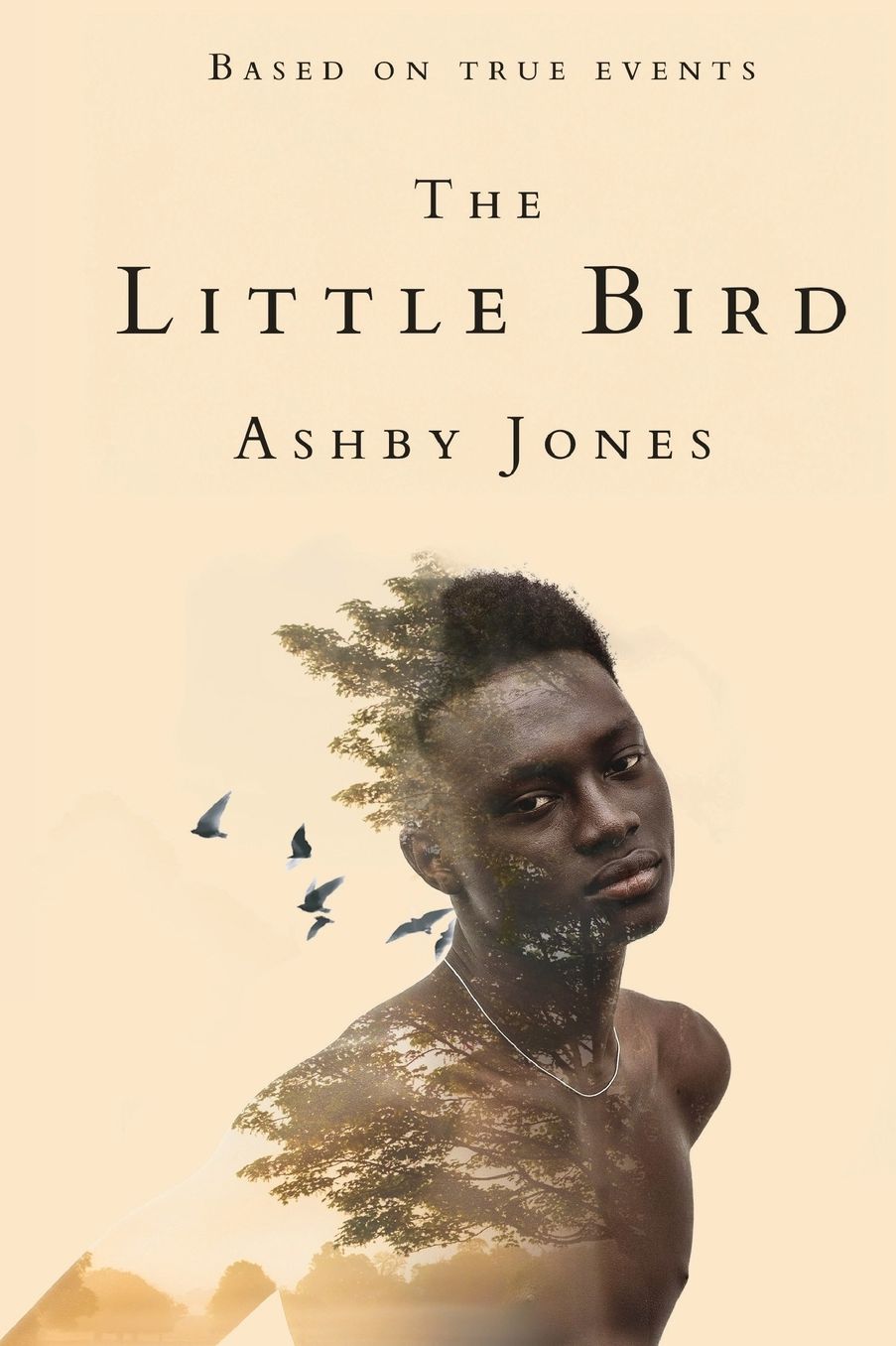 The Little Bird: A Novel