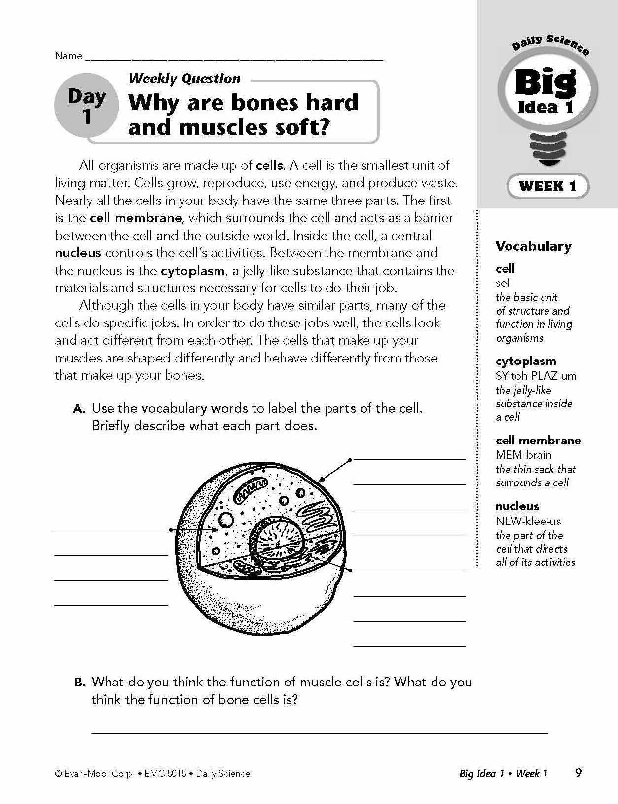 Daily Science, Grade 5