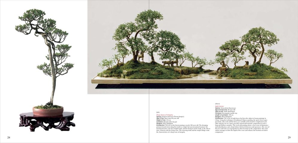 Penjing: The Chinese Art of Bonsai: A Pictorial Exploration of Its History, Aesthetics, Styles and Preservation