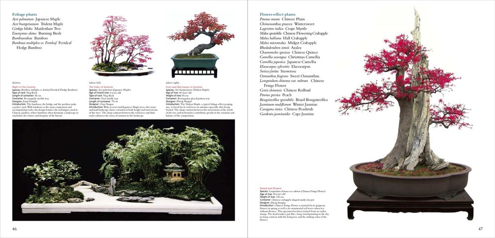 Penjing: The Chinese Art of Bonsai: A Pictorial Exploration of Its History, Aesthetics, Styles and Preservation