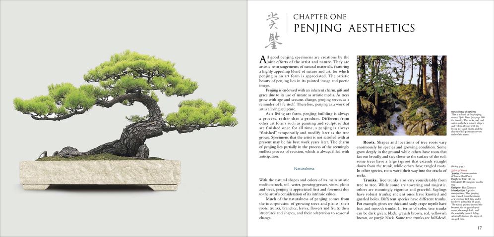 Penjing: The Chinese Art of Bonsai: A Pictorial Exploration of Its History, Aesthetics, Styles and Preservation