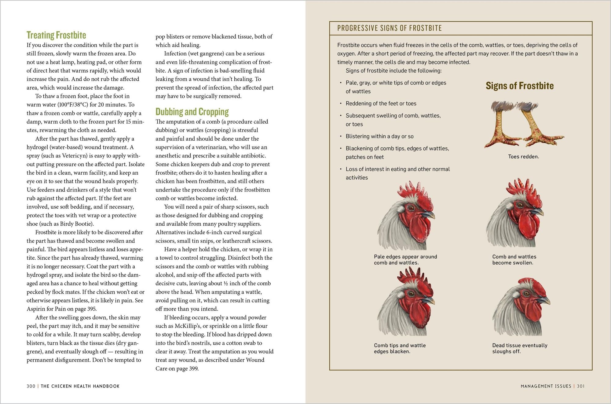 The Chicken Health Handbook, 2nd Edition: A Complete Guide to Maximizing Flock Health and Dealing with Disease