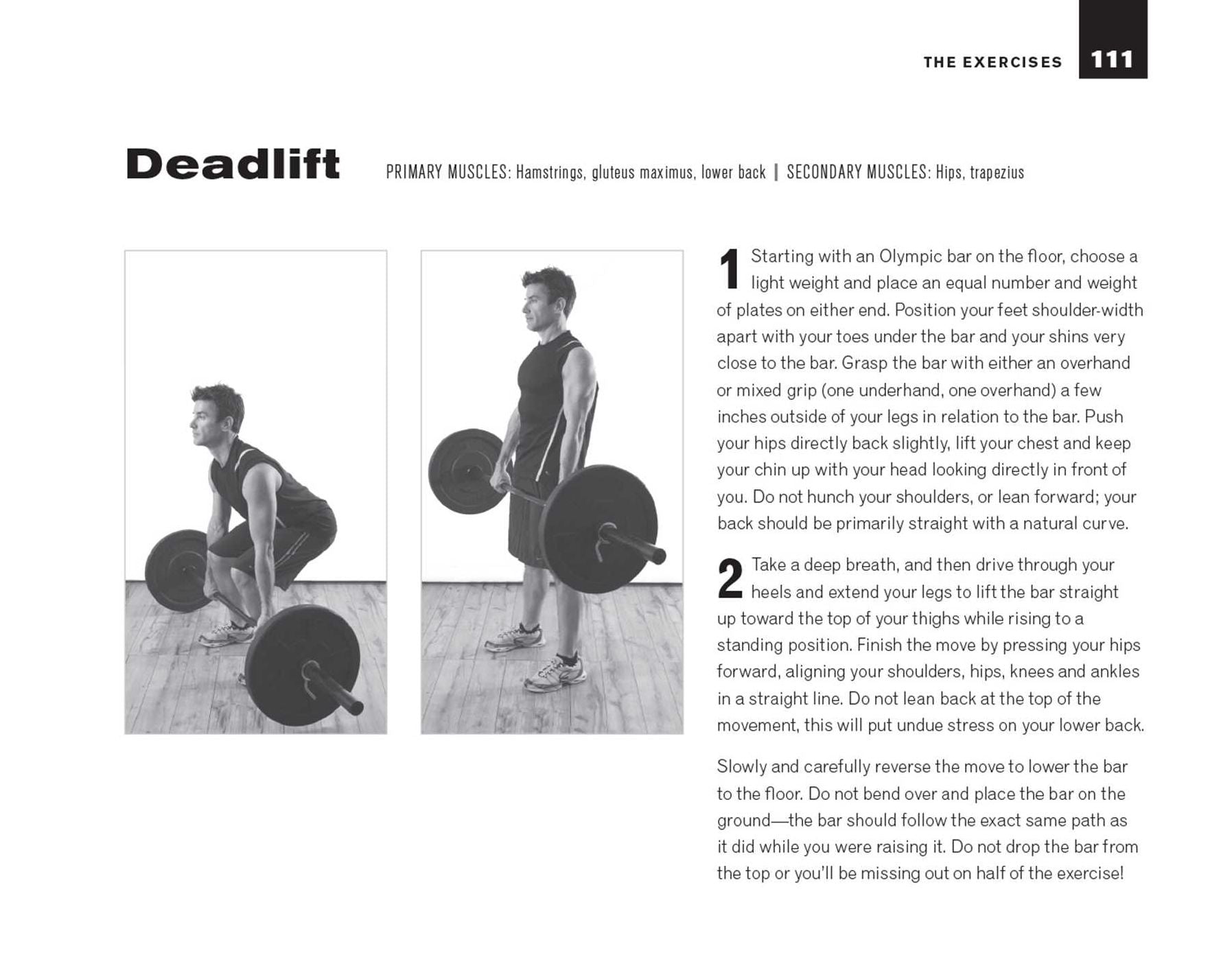 7 Weeks to 10 Pounds of Muscle: The Complete Day-by-Day Program to Pack on Lean, Healthy Muscle Mass