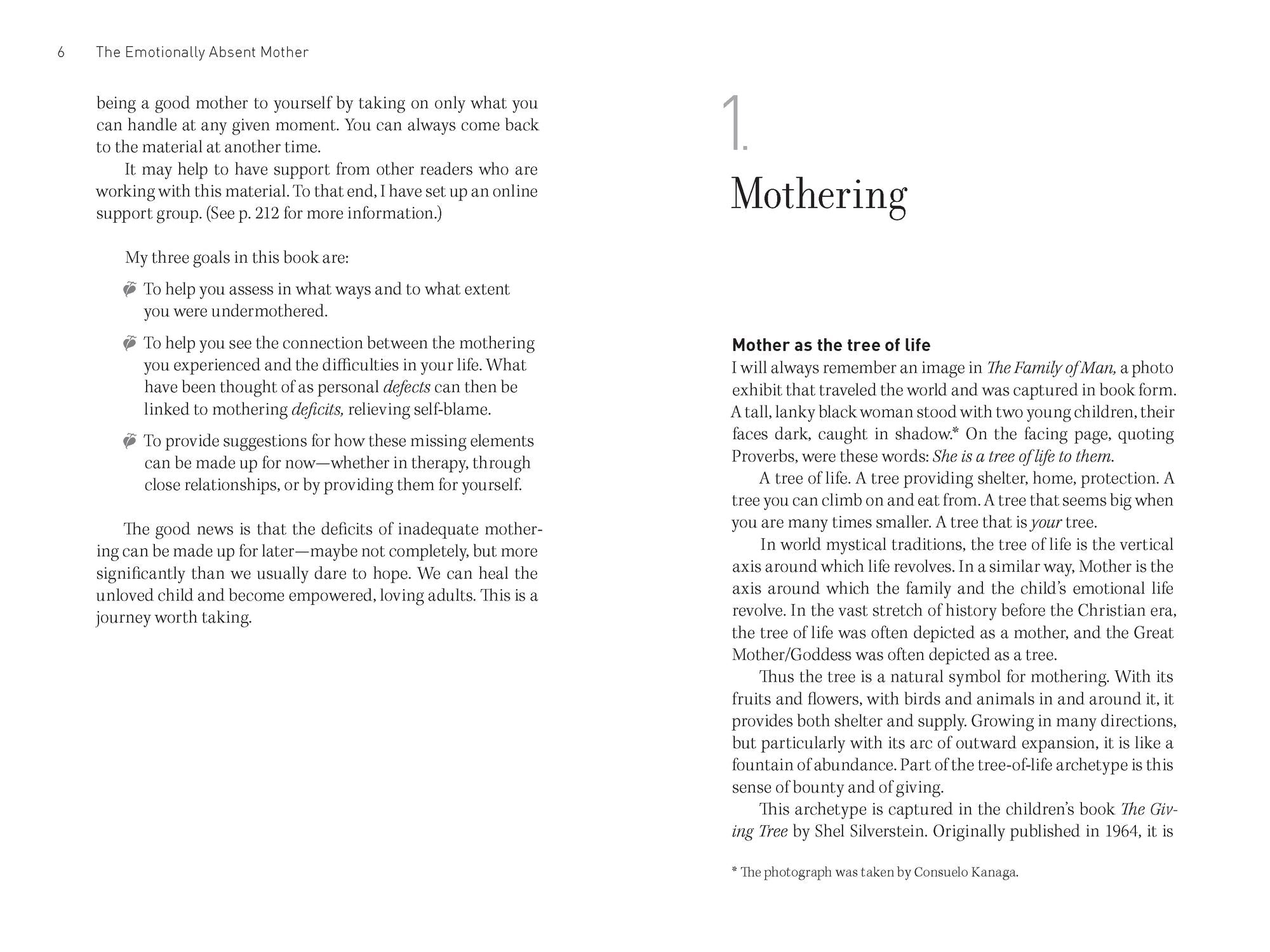 The Emotionally Absent Mother, Second Edition: How to Recognize and Cope with the Invisible Effects of Childhood Emotional Neglect