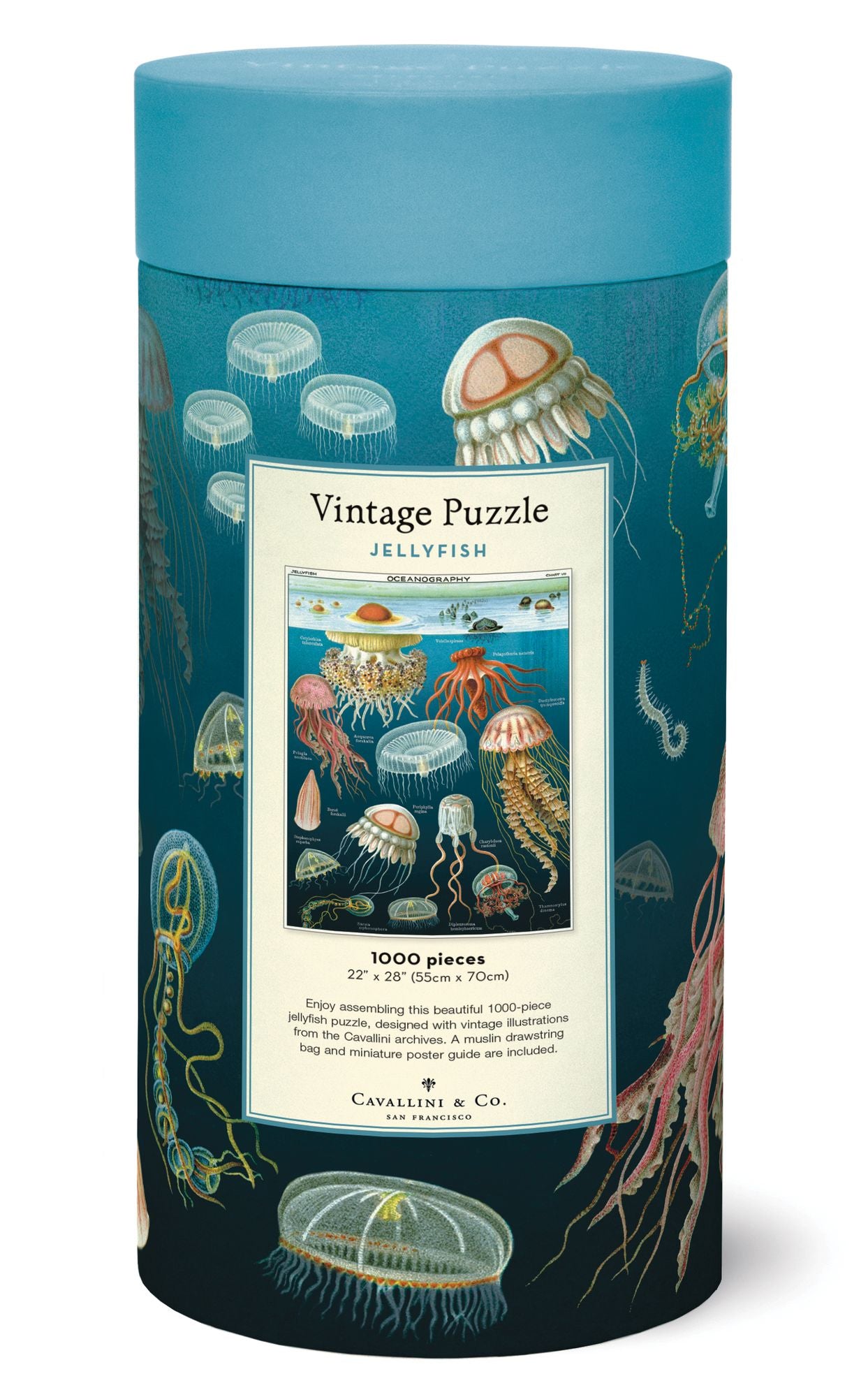 Cavallini & Co - Jellyfish 1000 Piece Jigsaw Puzzle