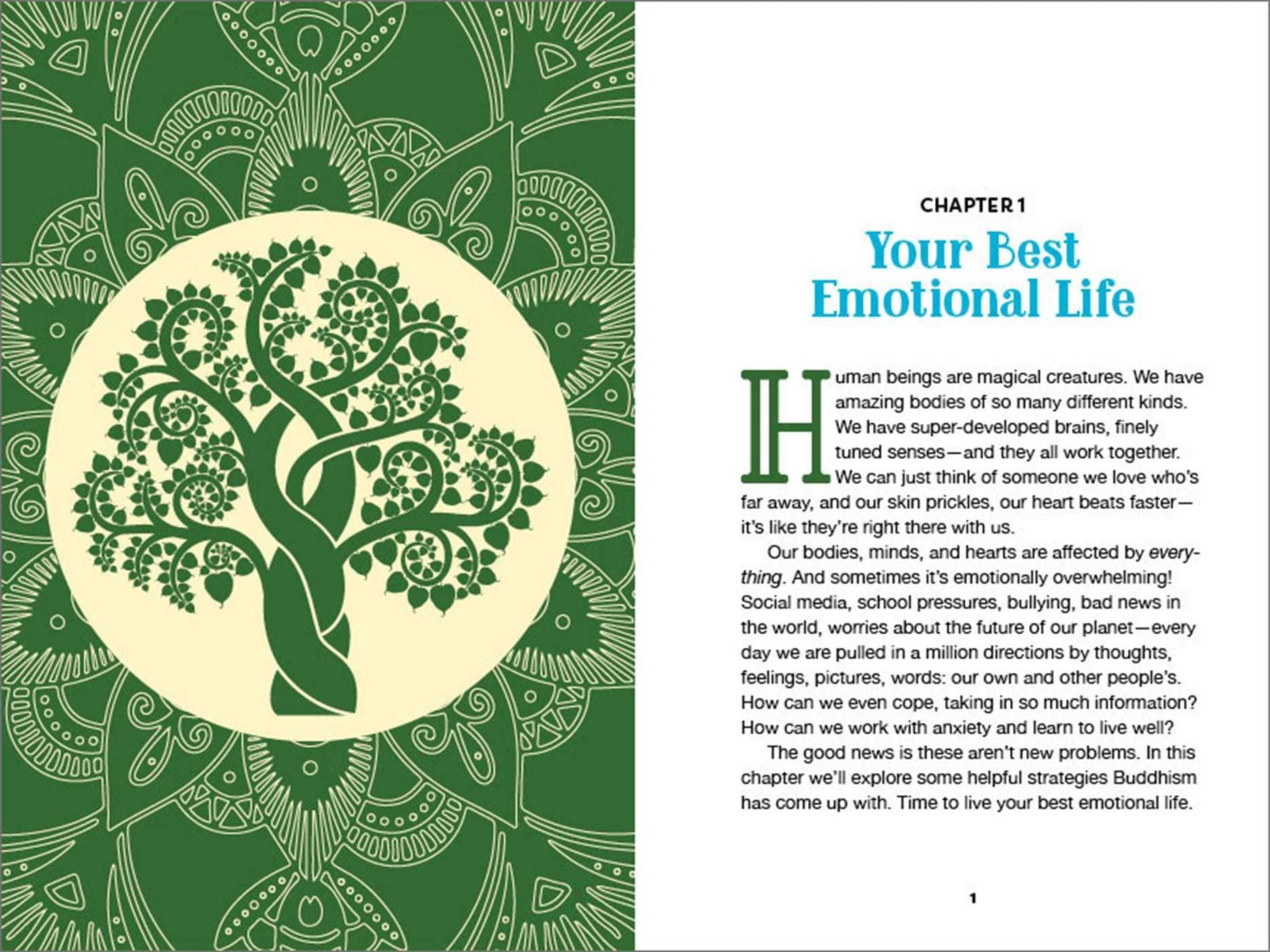Buddhism for Teens: 50 Mindfulness Activities, Meditations, and Stories to Cultivate Calm and Awareness
