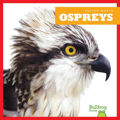 Ospreys