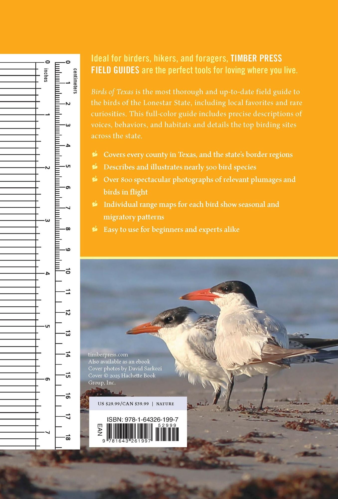 Birds of Texas: A Timber Press Field Guide