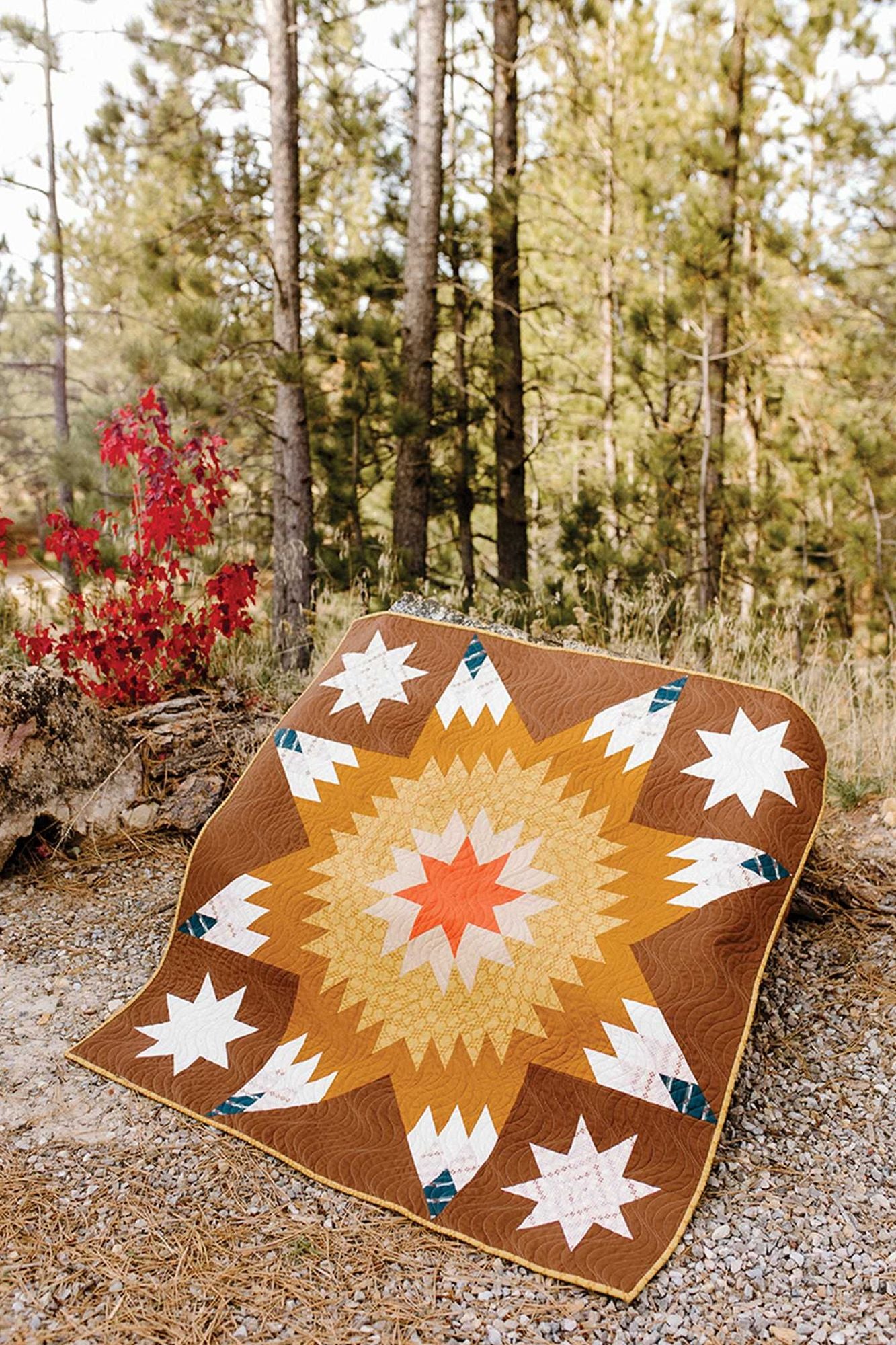 Lone Star Legacy Quilts: 12 Modern Projects