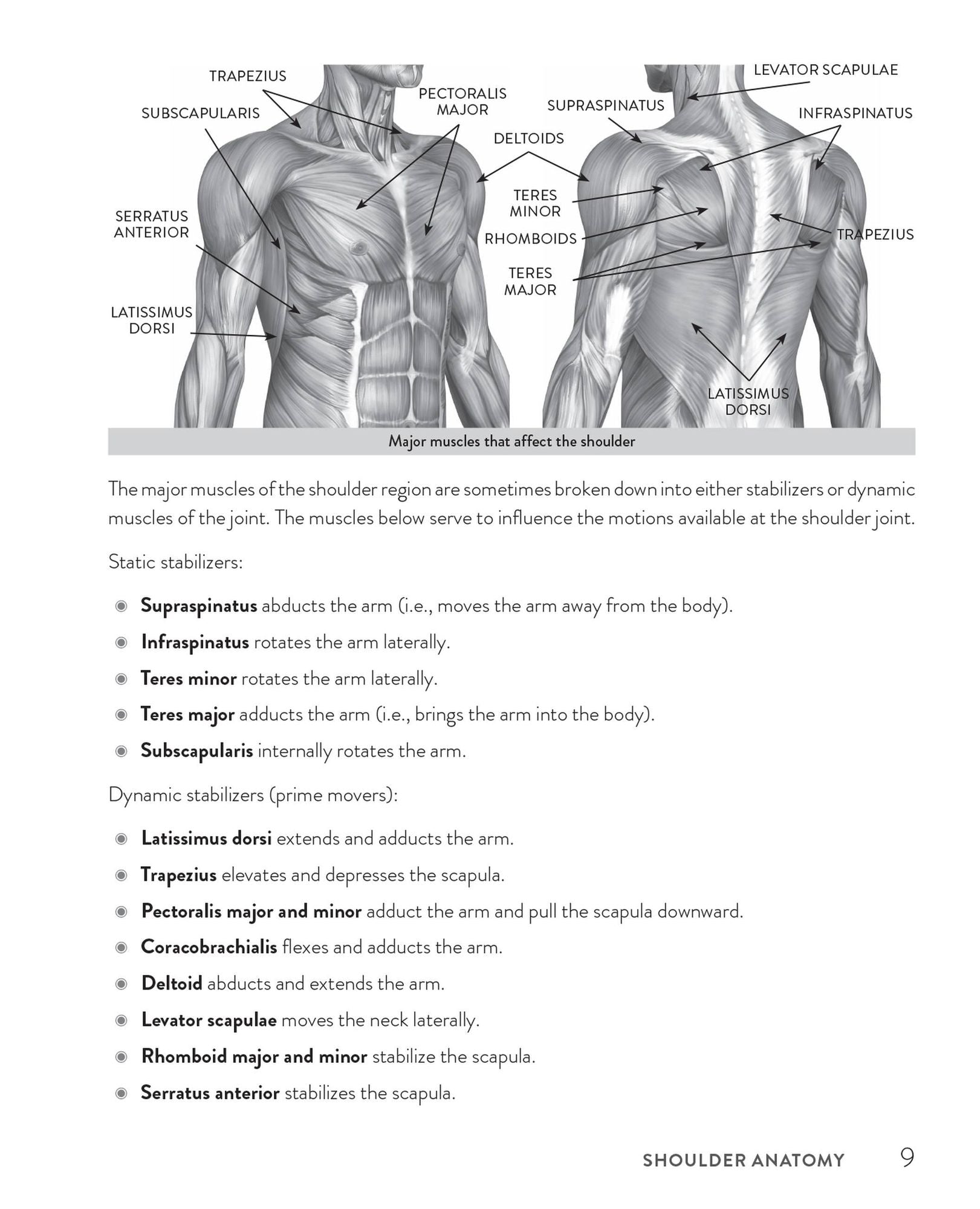 Healthy Shoulder Handbook: Second Edition: 100 Exercises for Treating Common Injuries and Ending Chronic Pain