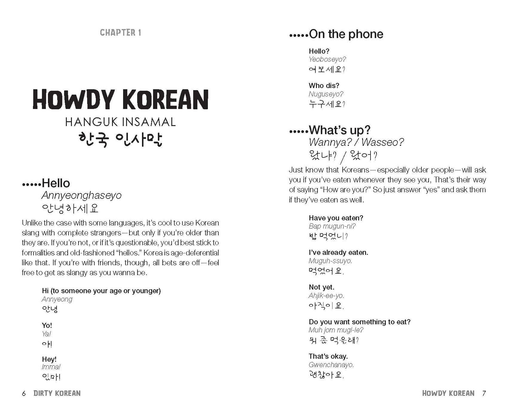 Dirty Korean: Second Edition: Spice Up Your Conversation with Casual Slang to Use with Friends, Enemies, Lovers, and More