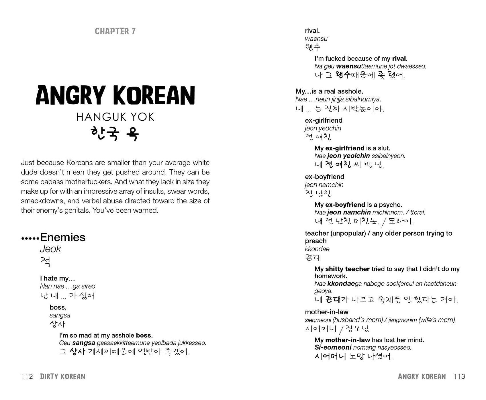 Dirty Korean: Second Edition: Spice Up Your Conversation with Casual Slang to Use with Friends, Enemies, Lovers, and More