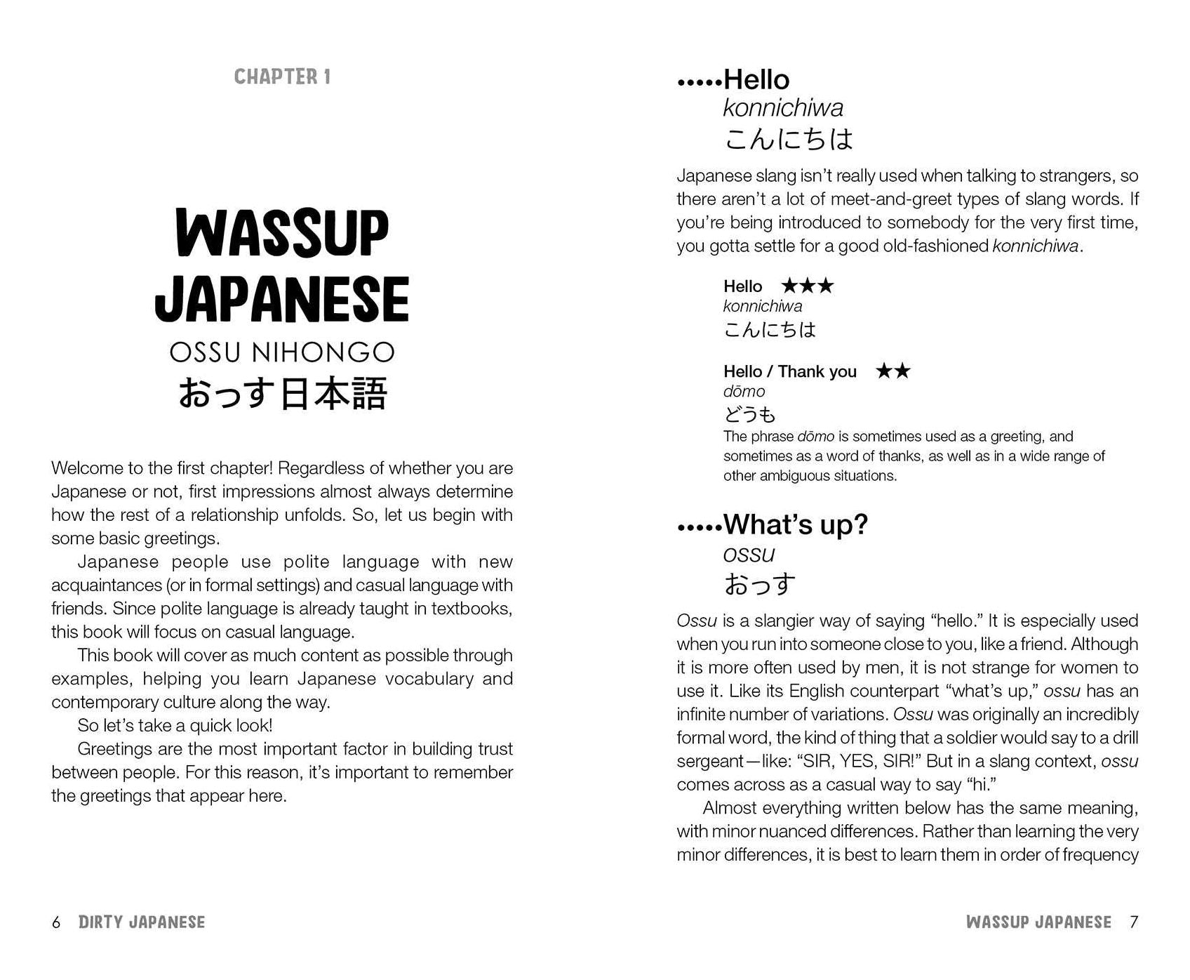 Dirty Japanese, Second Edition: Power Up Your Conversation with Casual Slang and Onomatopoeia Phrases to Use with Friends, Enemies, Lovers, and More