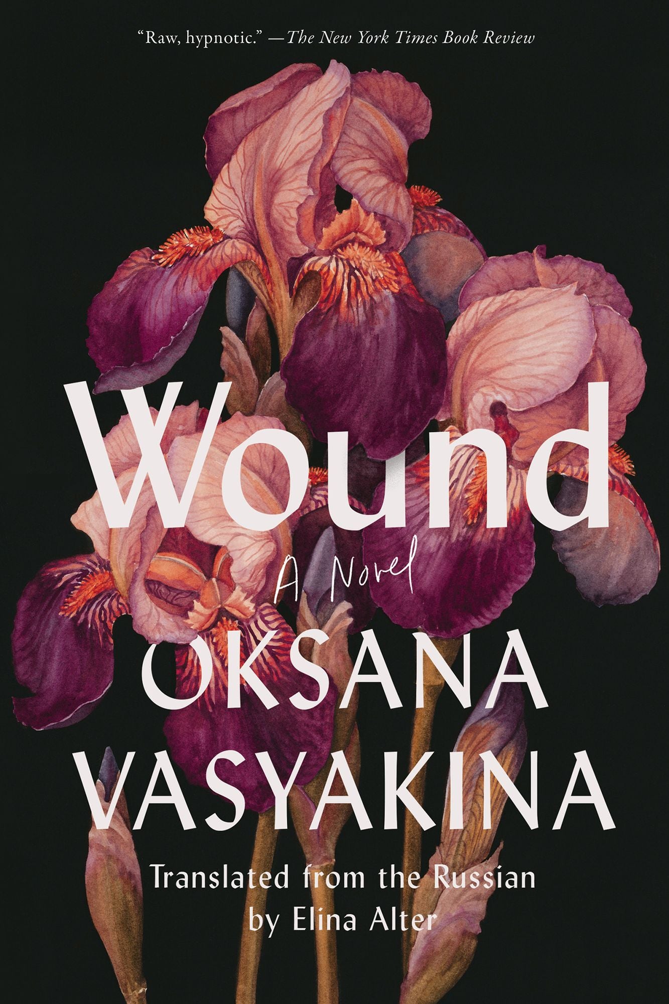 Wound: A Novel