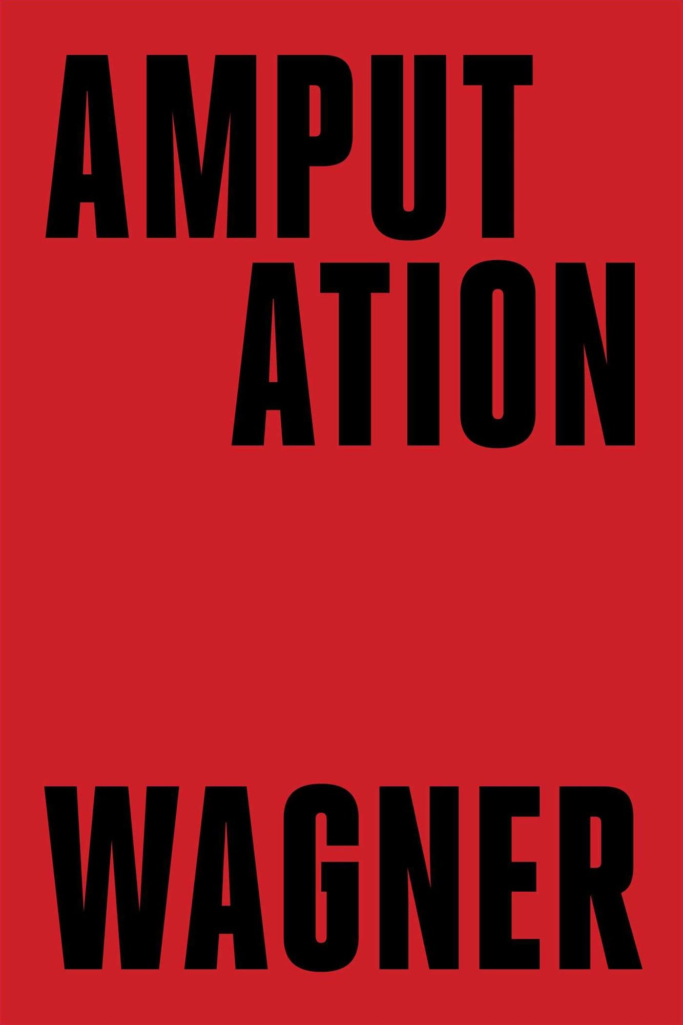 Amputation: A Novel