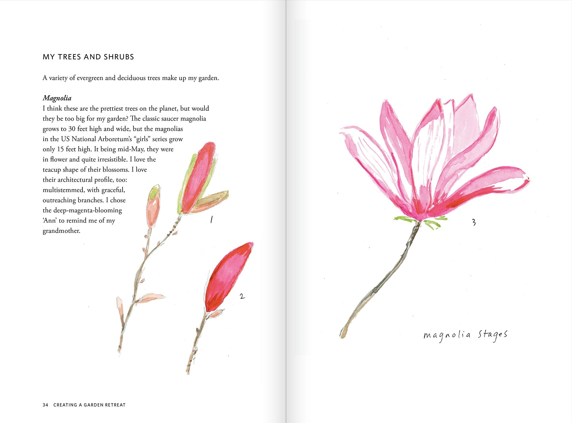 Creating a Garden Retreat: An Artist's Guide to Planting an Outdoor Sanctuary