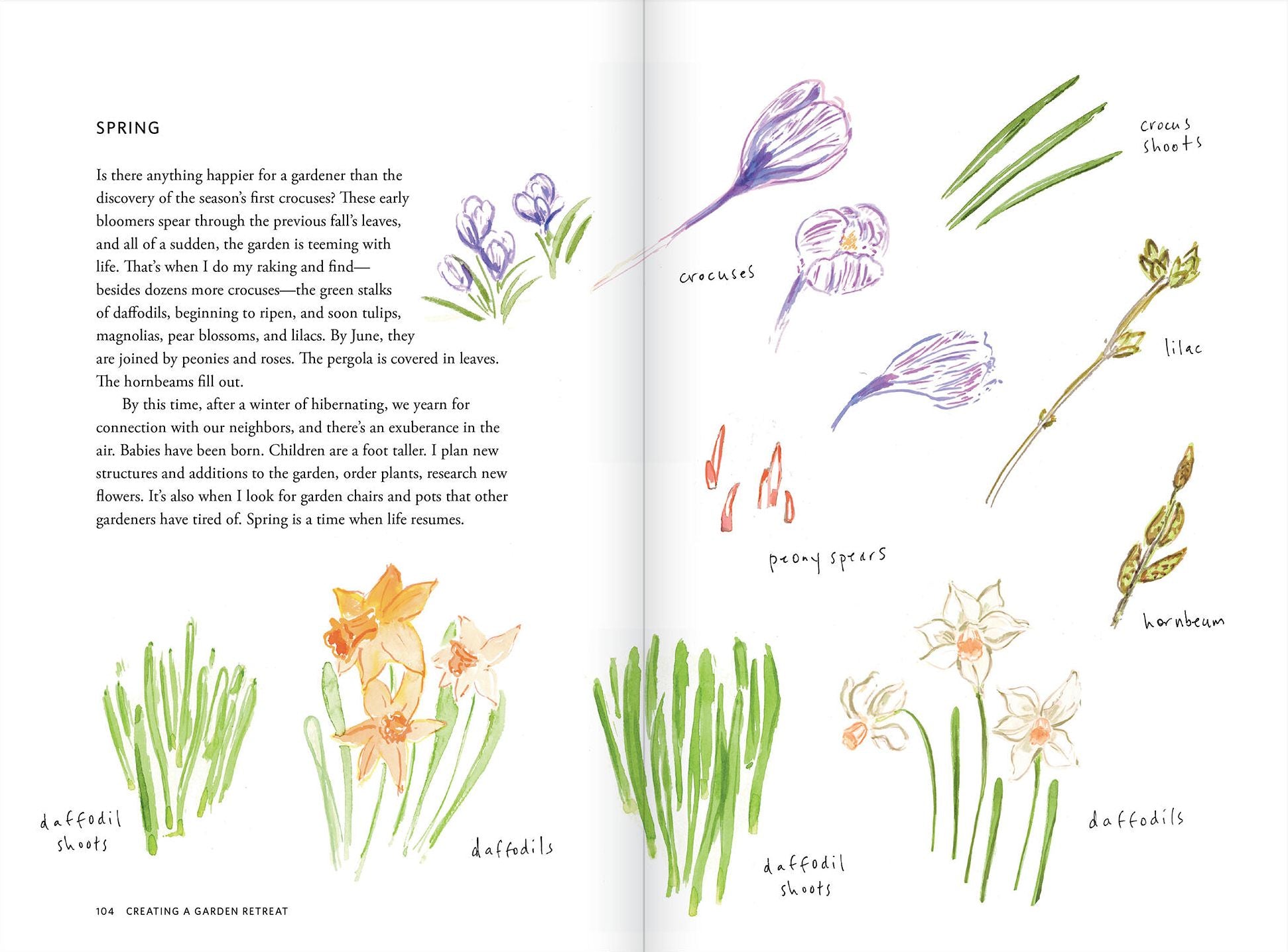 Creating a Garden Retreat: An Artist's Guide to Planting an Outdoor Sanctuary
