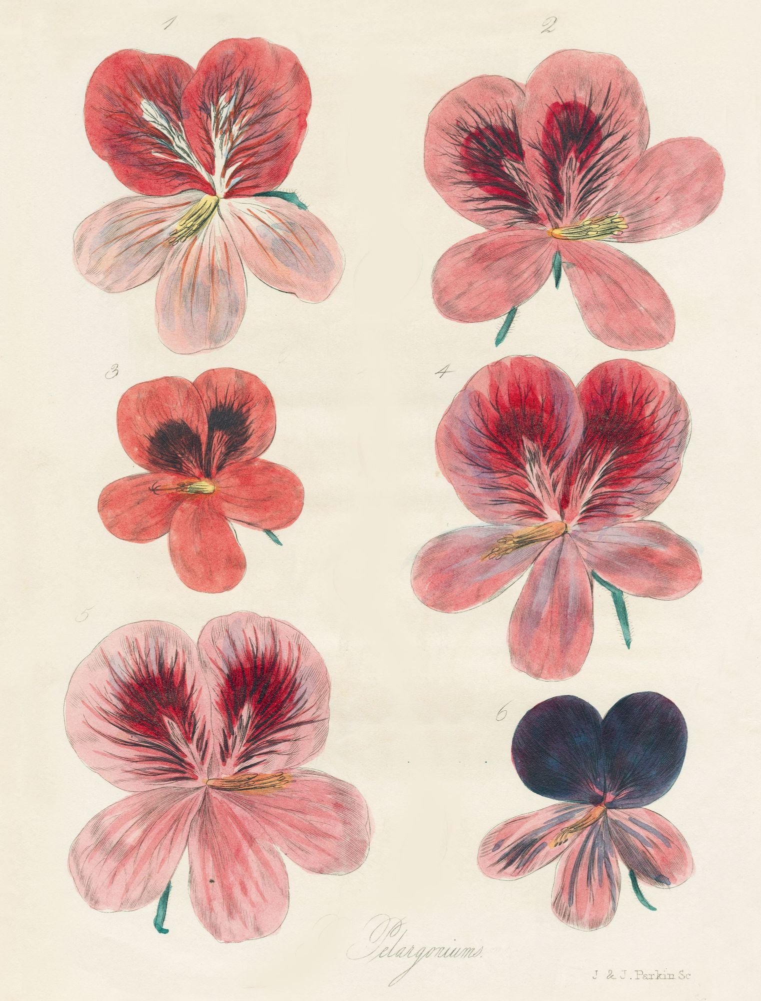 John Derian Wrapping Paper Book