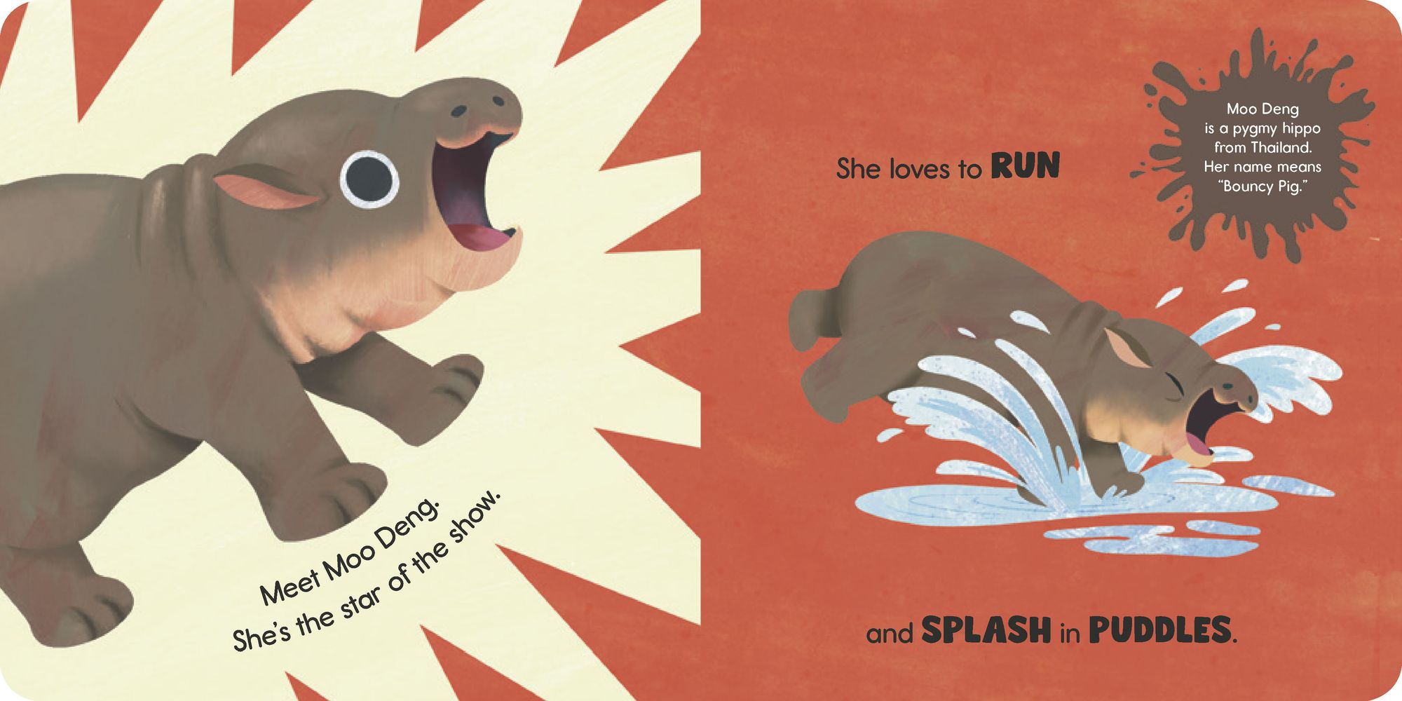 Moo Deng Says No!: The pygmy hippo internet sensation!