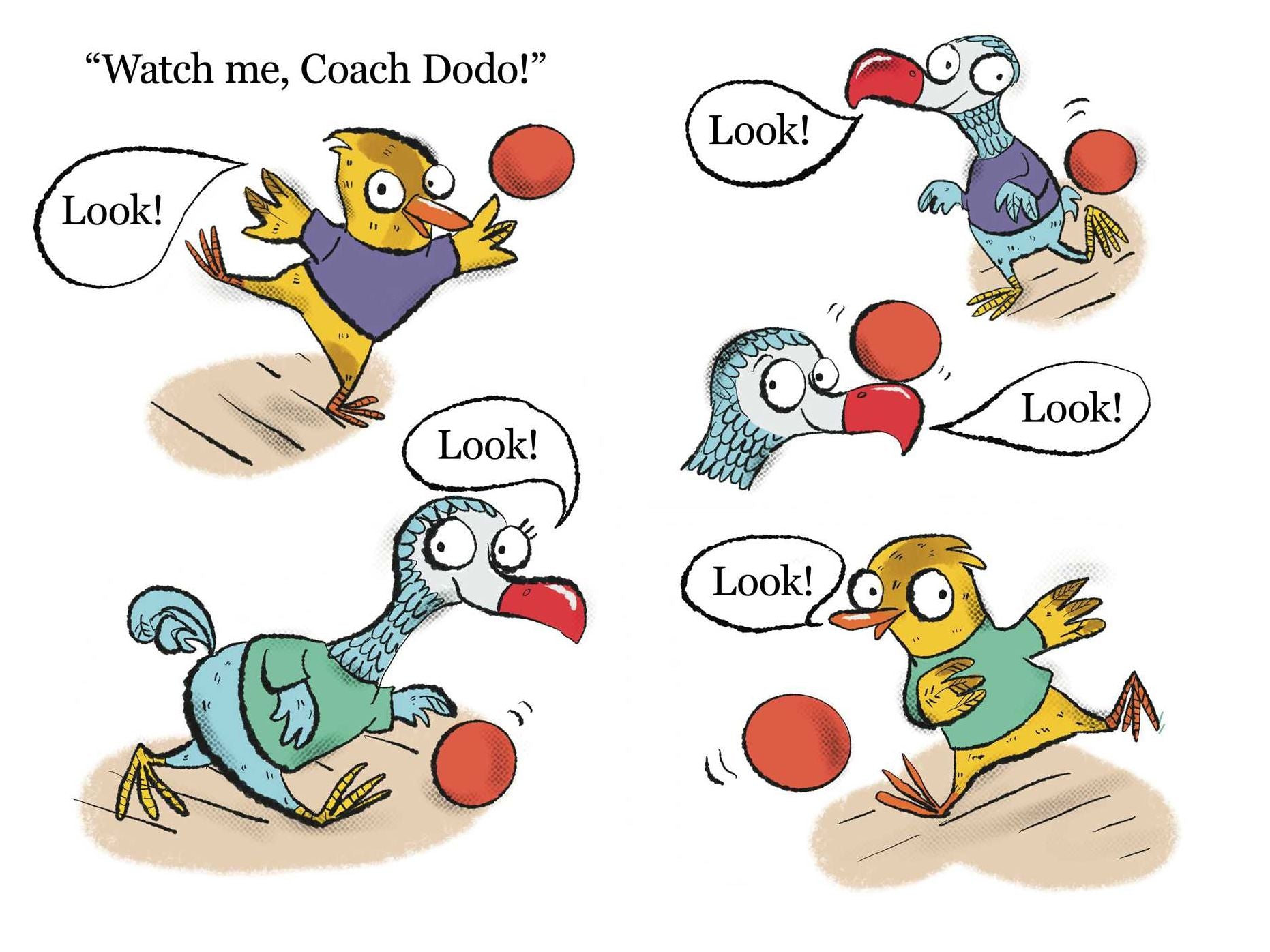 Dodo Dodgeball: Ready-to-Read Level 1