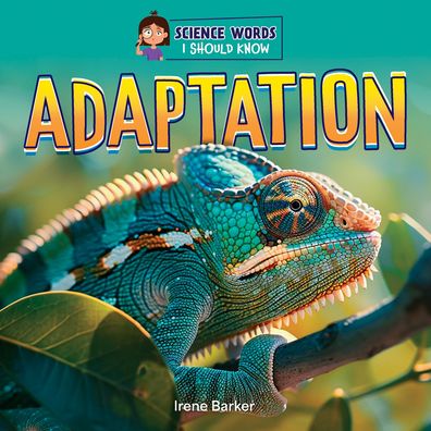 Adaptation