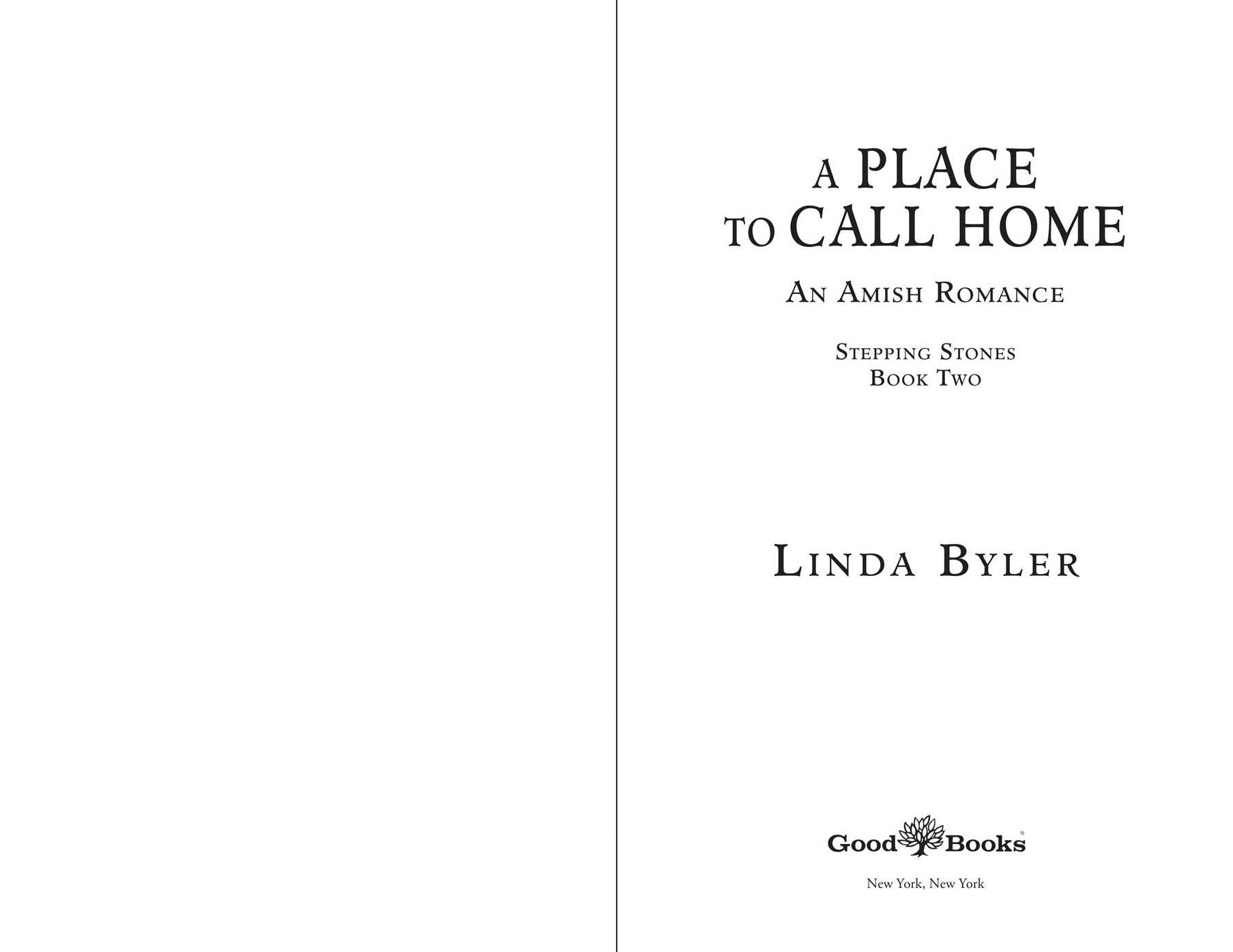 A Place to Call Home: An Amish Romance