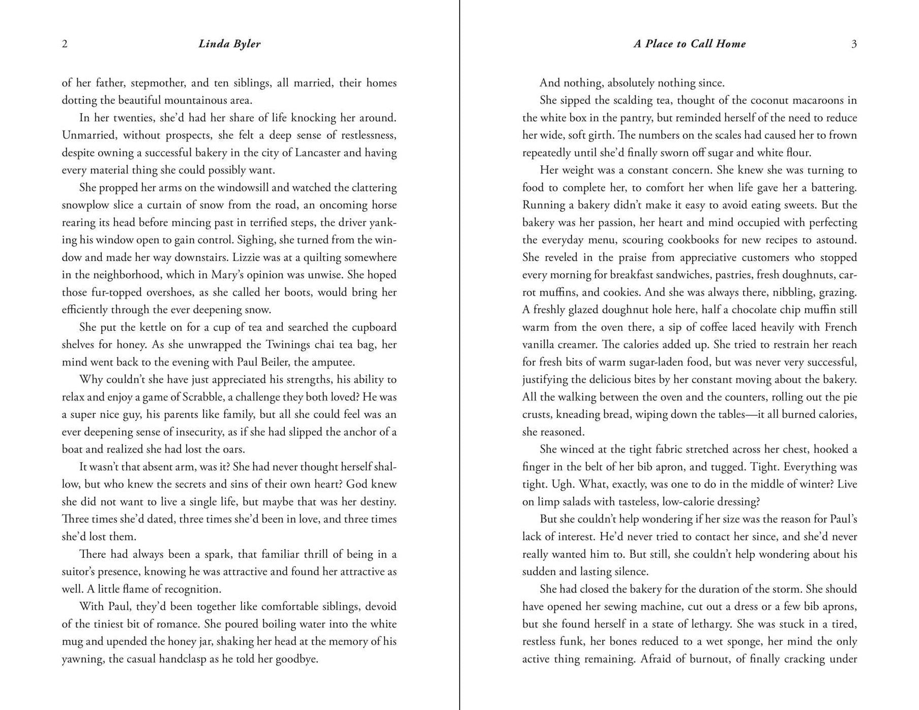 A Place to Call Home: An Amish Romance