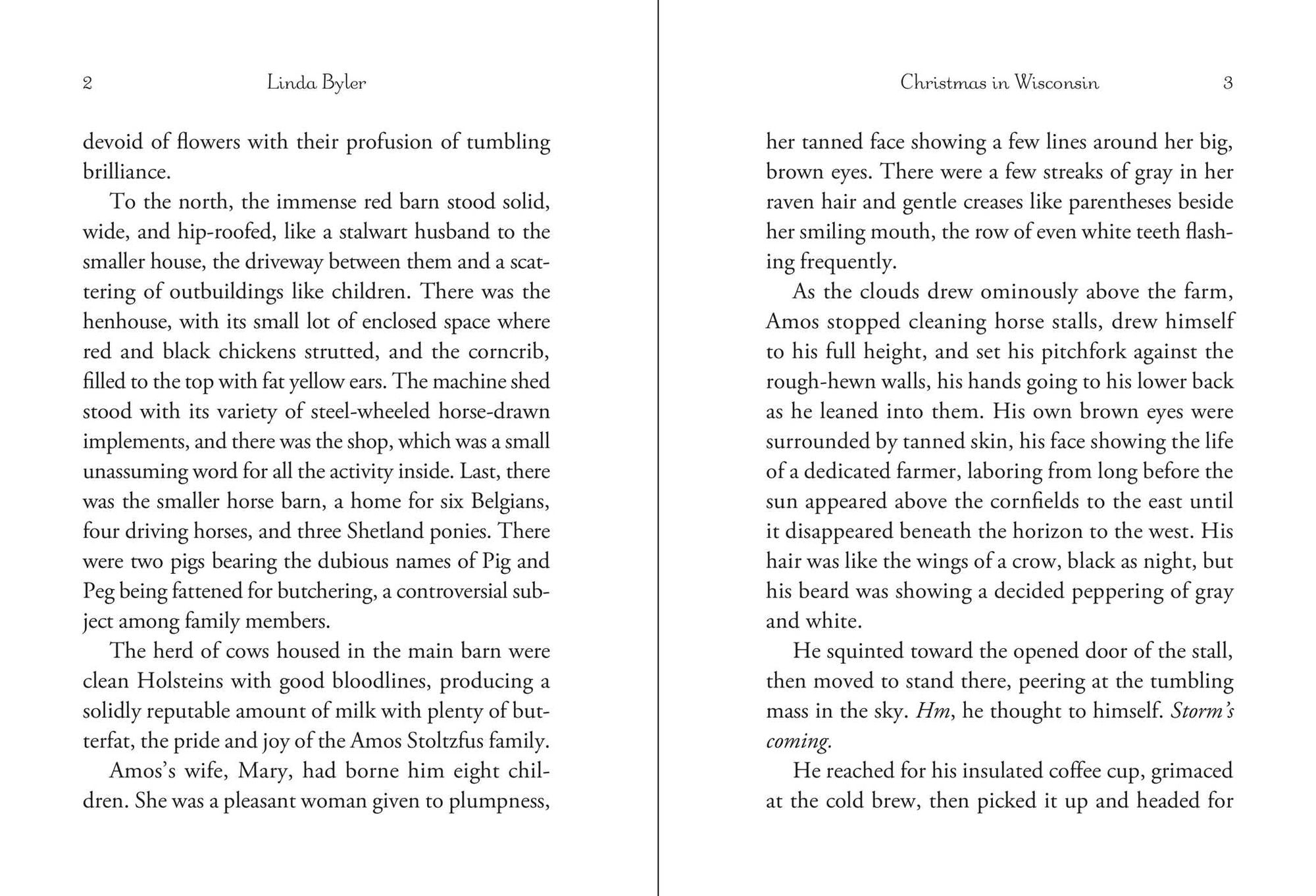 Christmas in Wisconsin: An Amish Romance