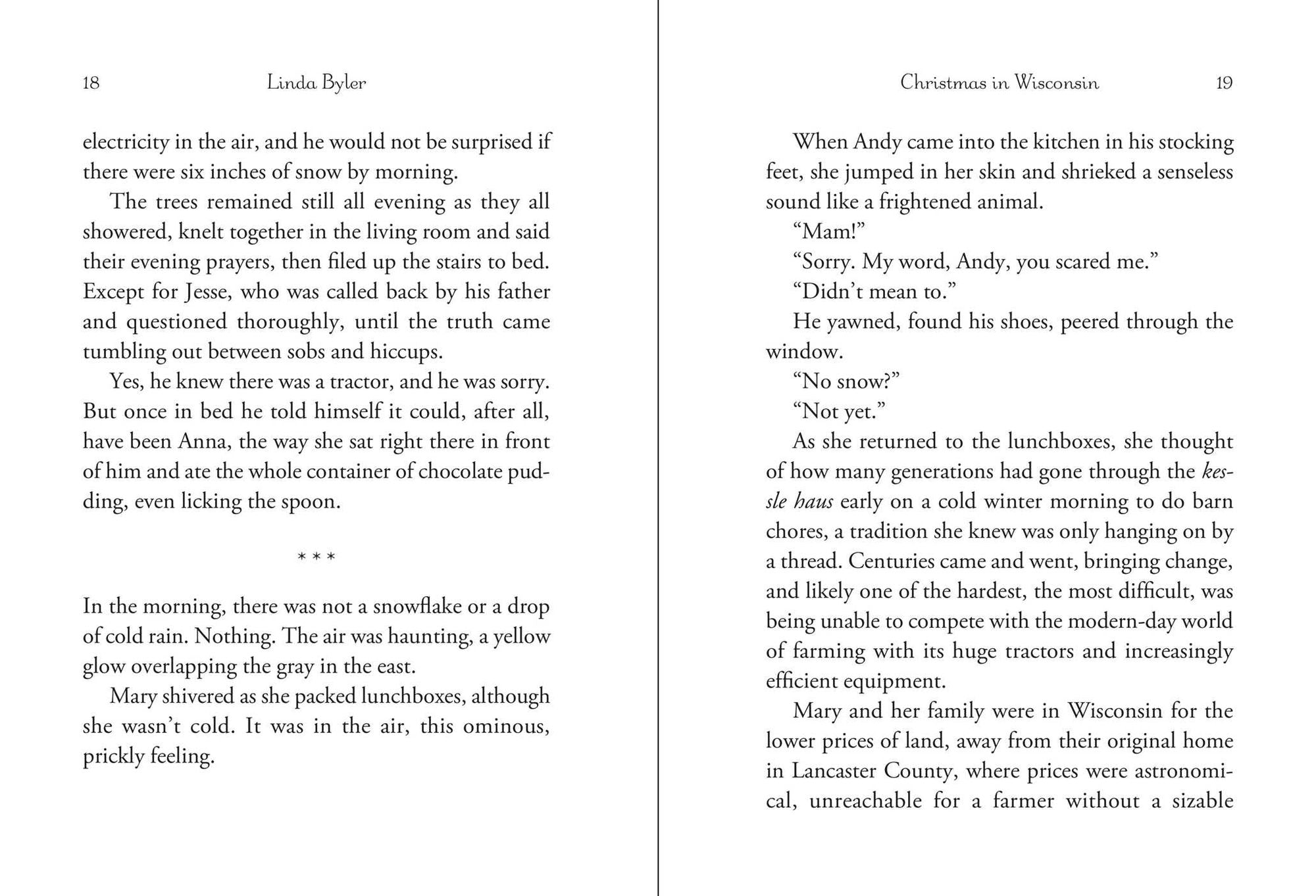 Christmas in Wisconsin: An Amish Romance
