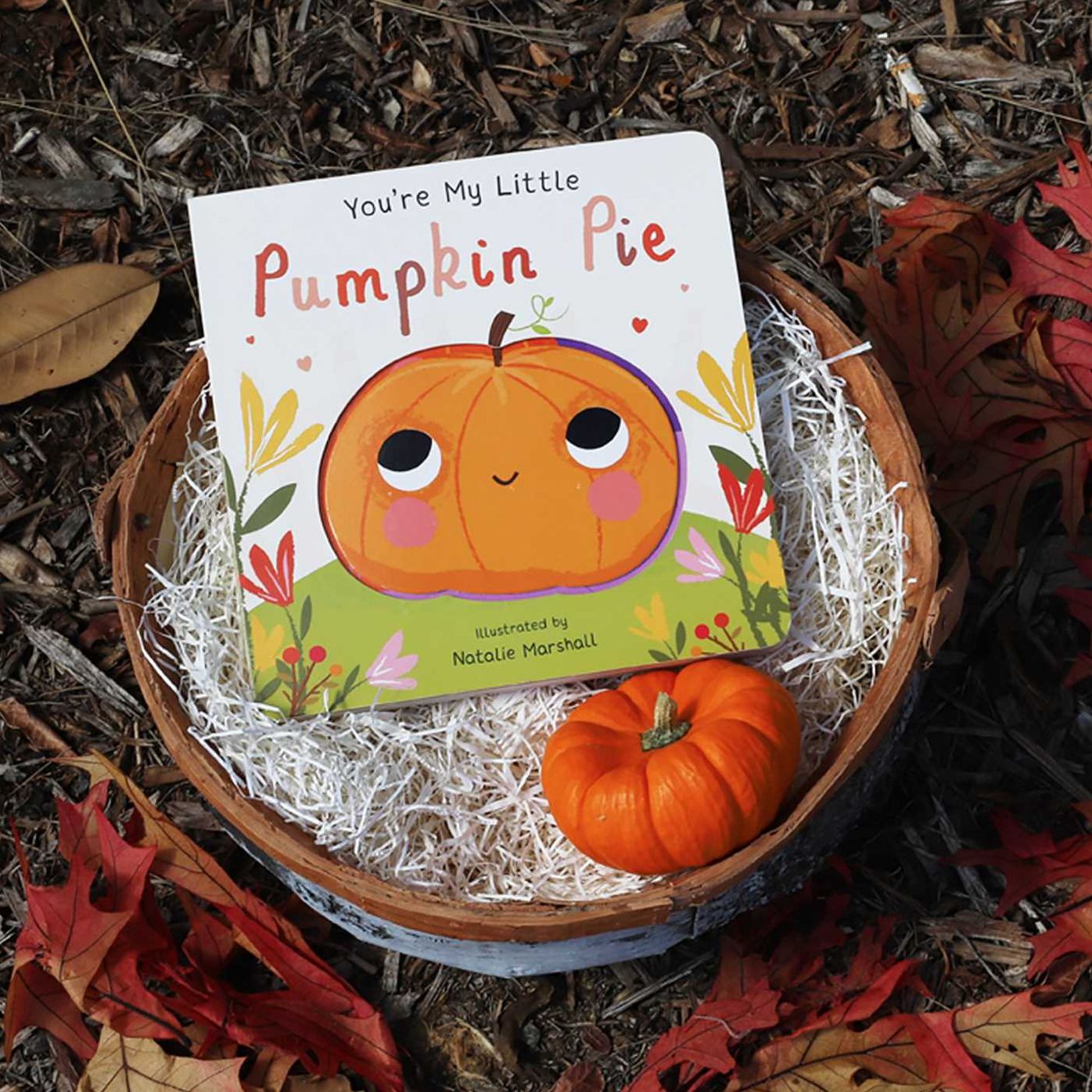 You're My Little Pumpkin Pie (Board Book for Babies and Toddlers 0-2 years old)