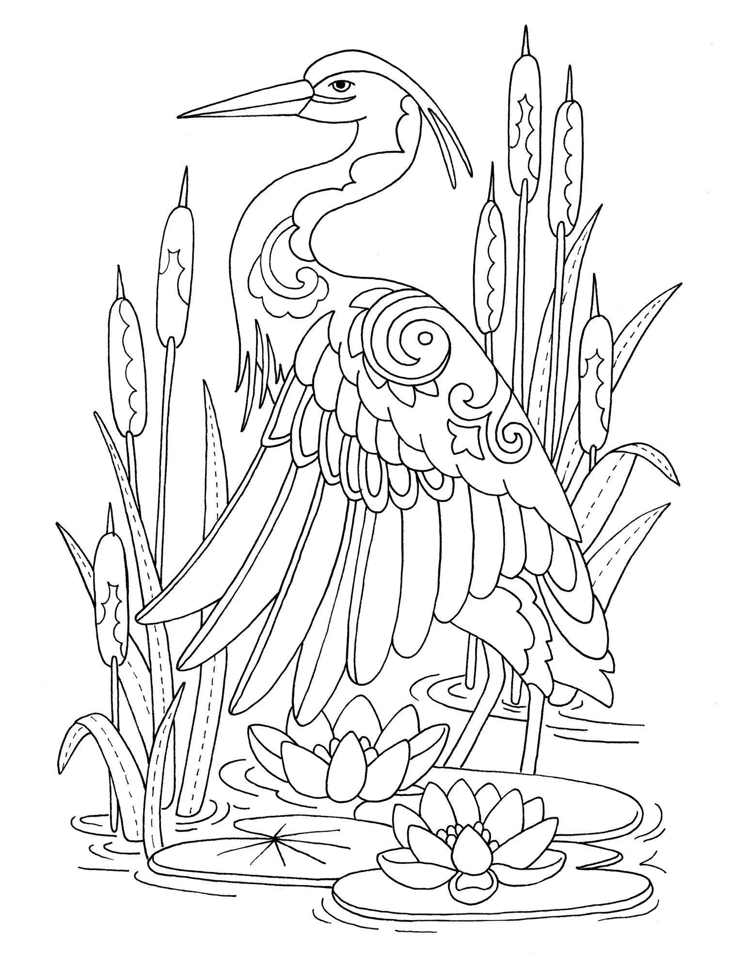 Nature's Joyful Moments: 50+ Cute & Creative Designs to Color - Positive and Calming Coloring Book for Adults and Kids