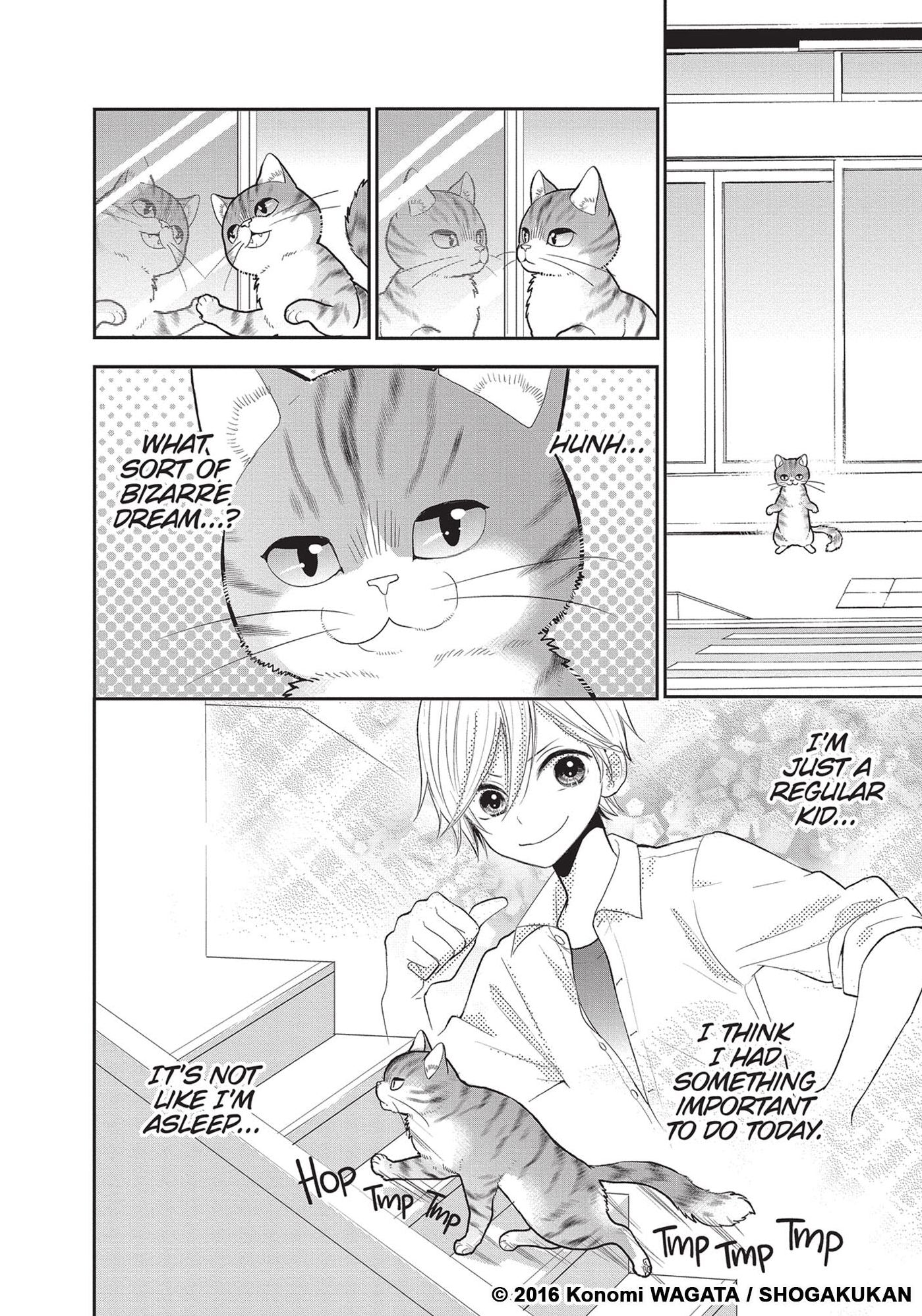 My New Life as a Cat Vol. 1