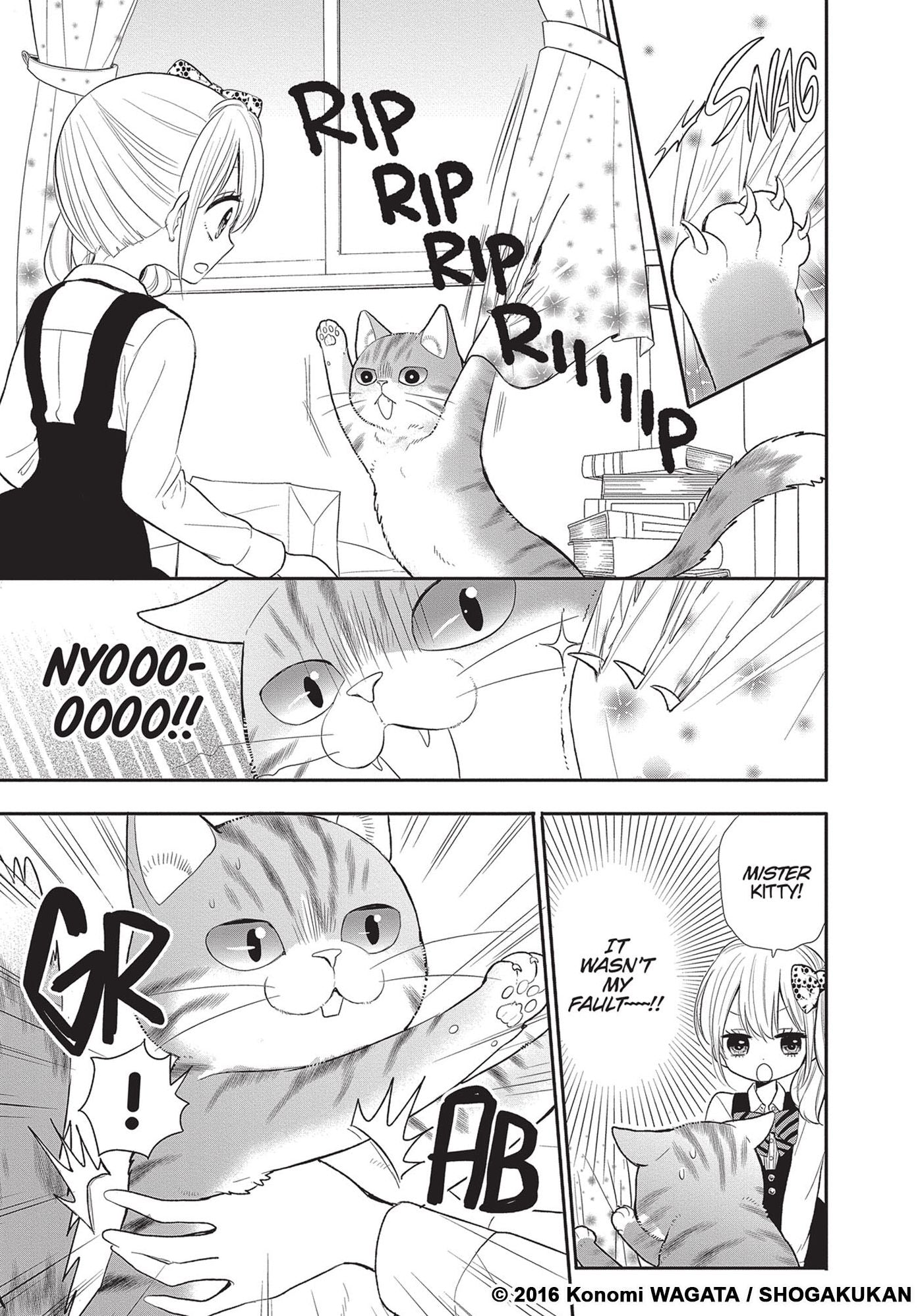 My New Life as a Cat Vol. 1