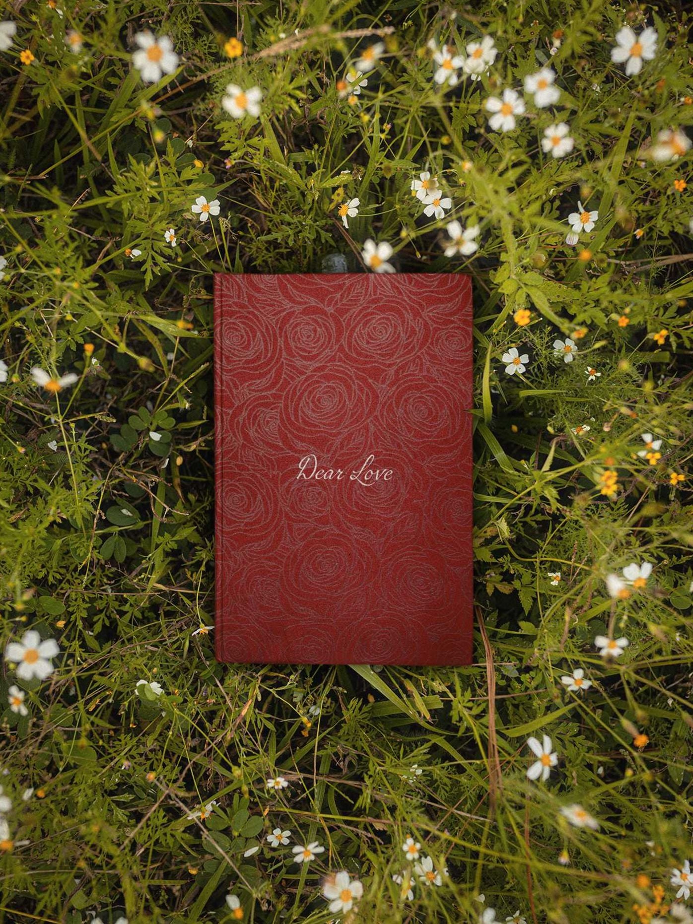 Dear Love