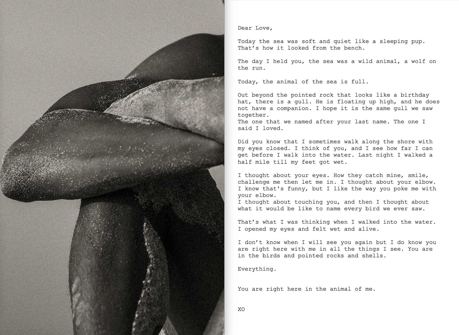 Dear Love