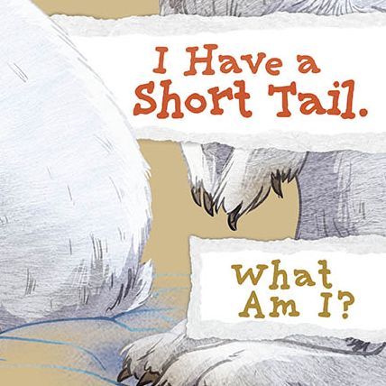 I Have a Short Tail. What Am I?