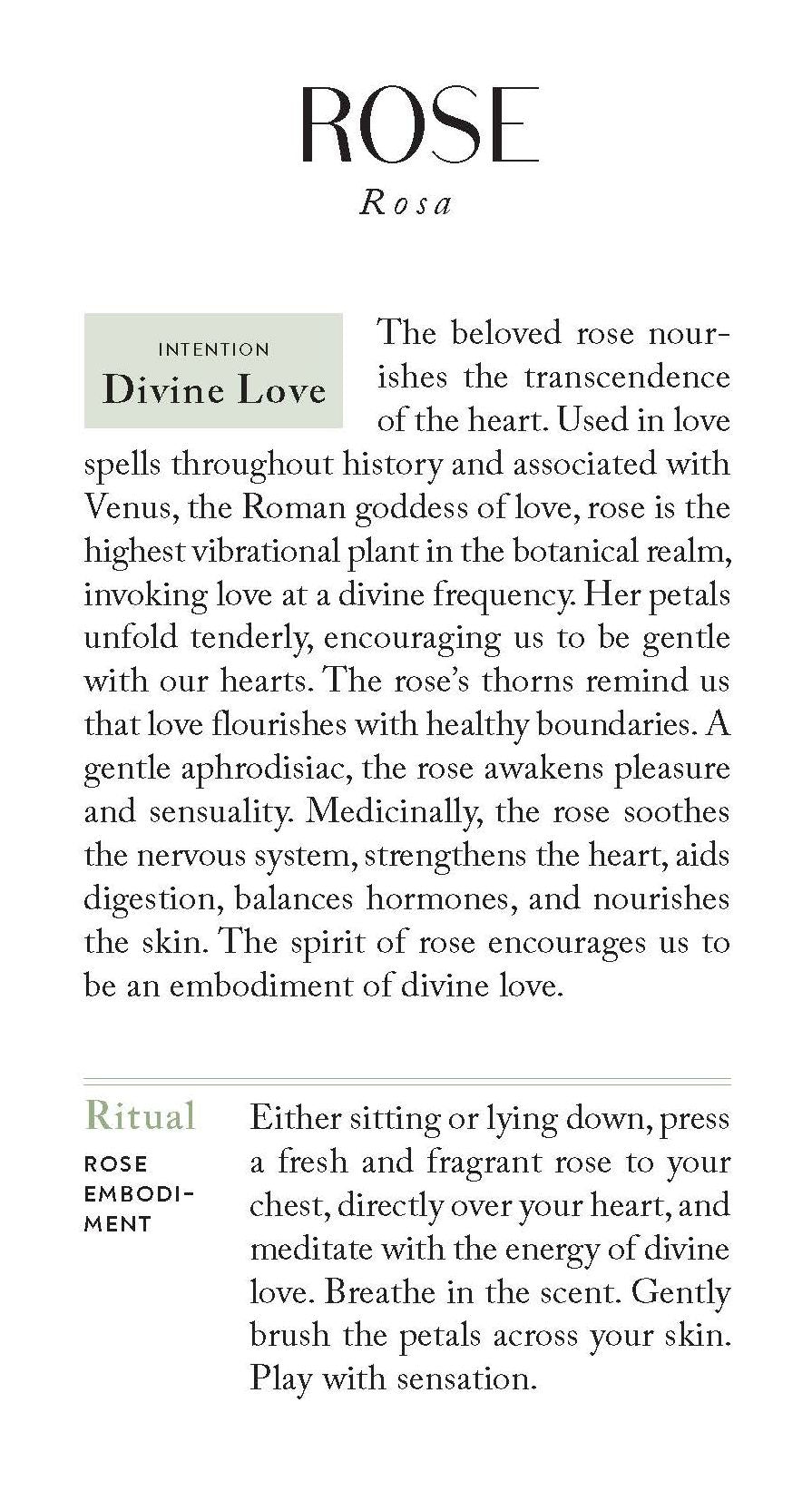 The Botanicals Deck: 70 Plants and Flowers to Enhance Your Life-Plus Herbal Recipes and Rituals