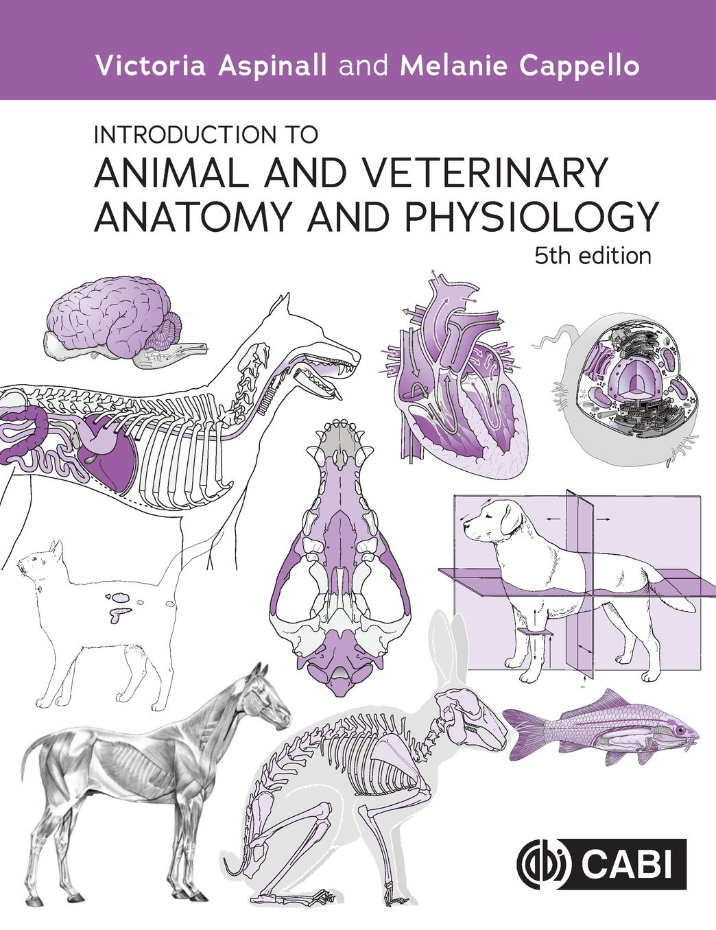 Introduction to Animal and Veterinary Anatomy and Physiology