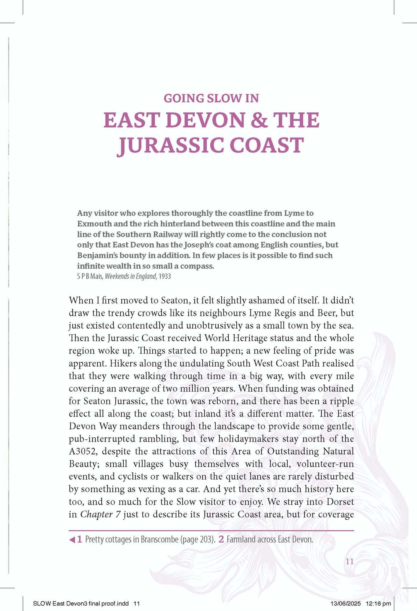 East Devon & The Jurassic Coast: Local, characterful guides to Britain's special places