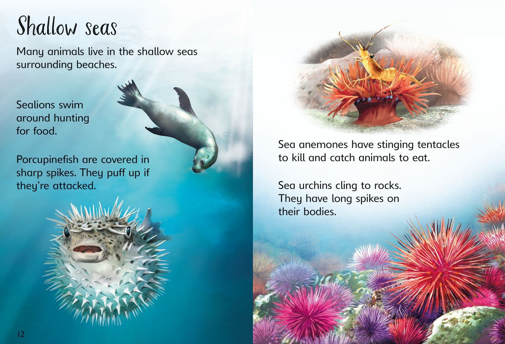 On the Beach (Usborne Beginners)